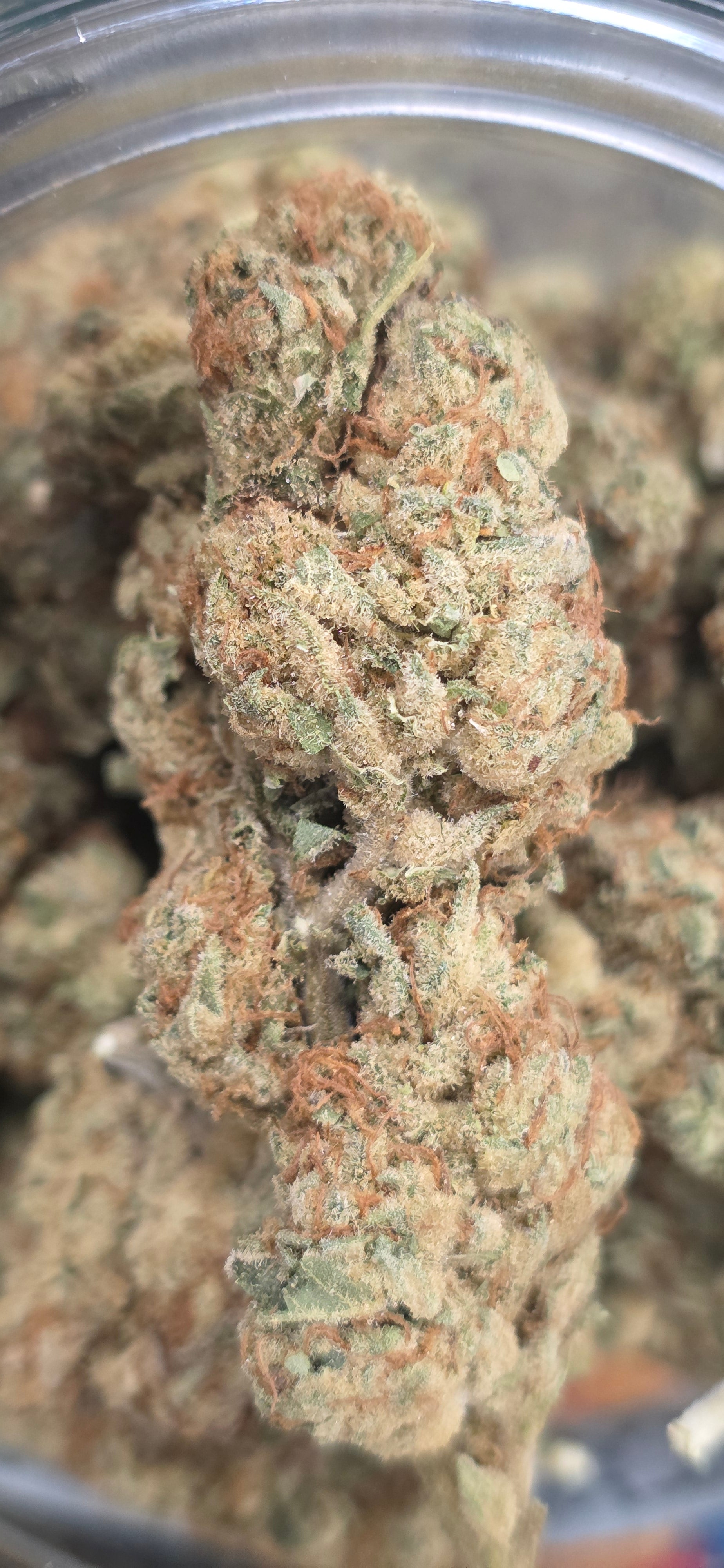 💚 Top Tier Strains 💚