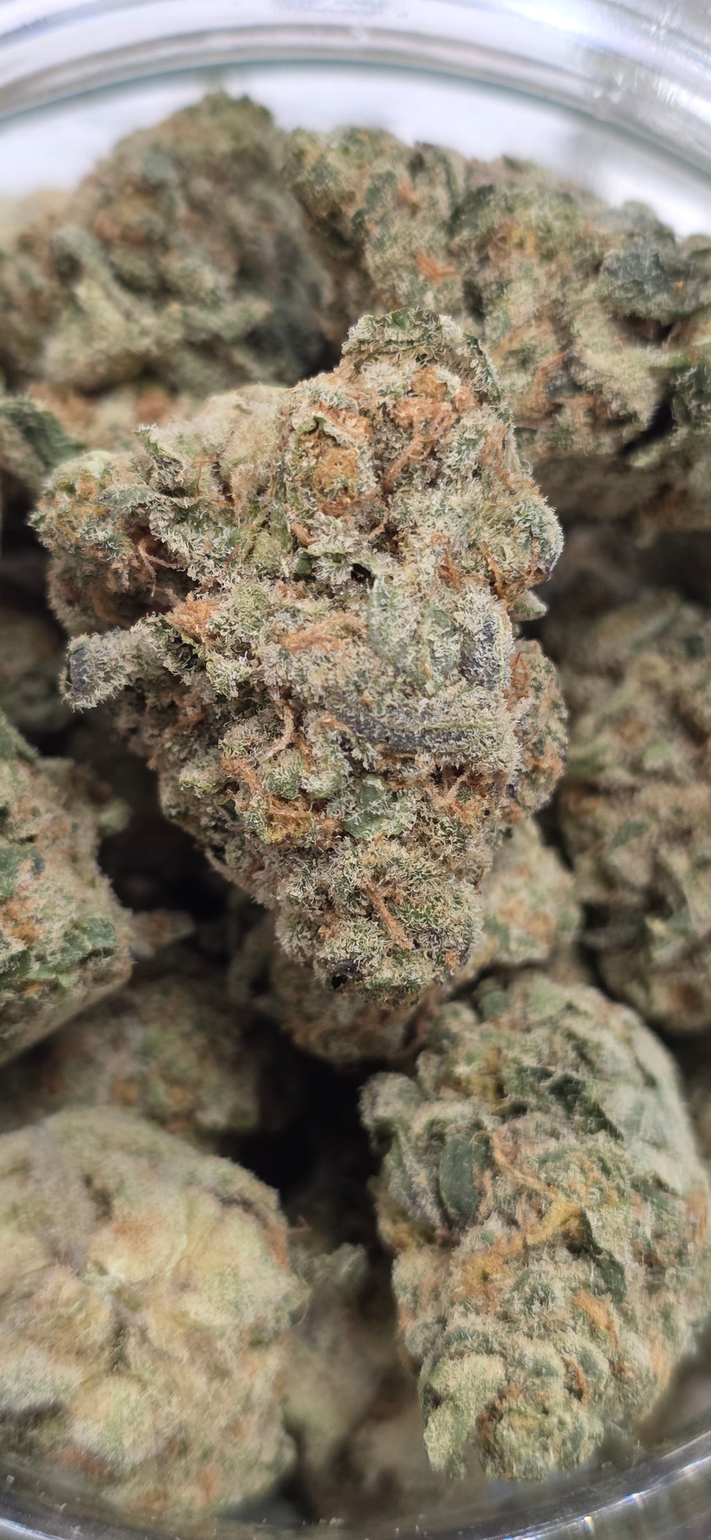 💚 Top Tier Strains 💚