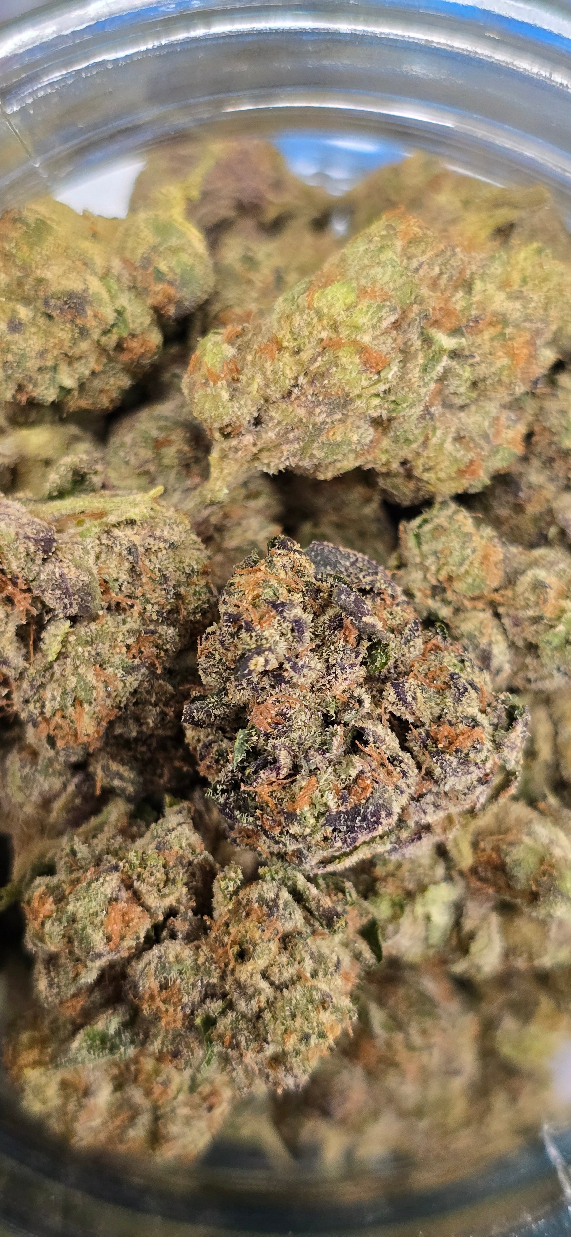 AAA+ Indoor THC-A Flower  ( Hybrid )