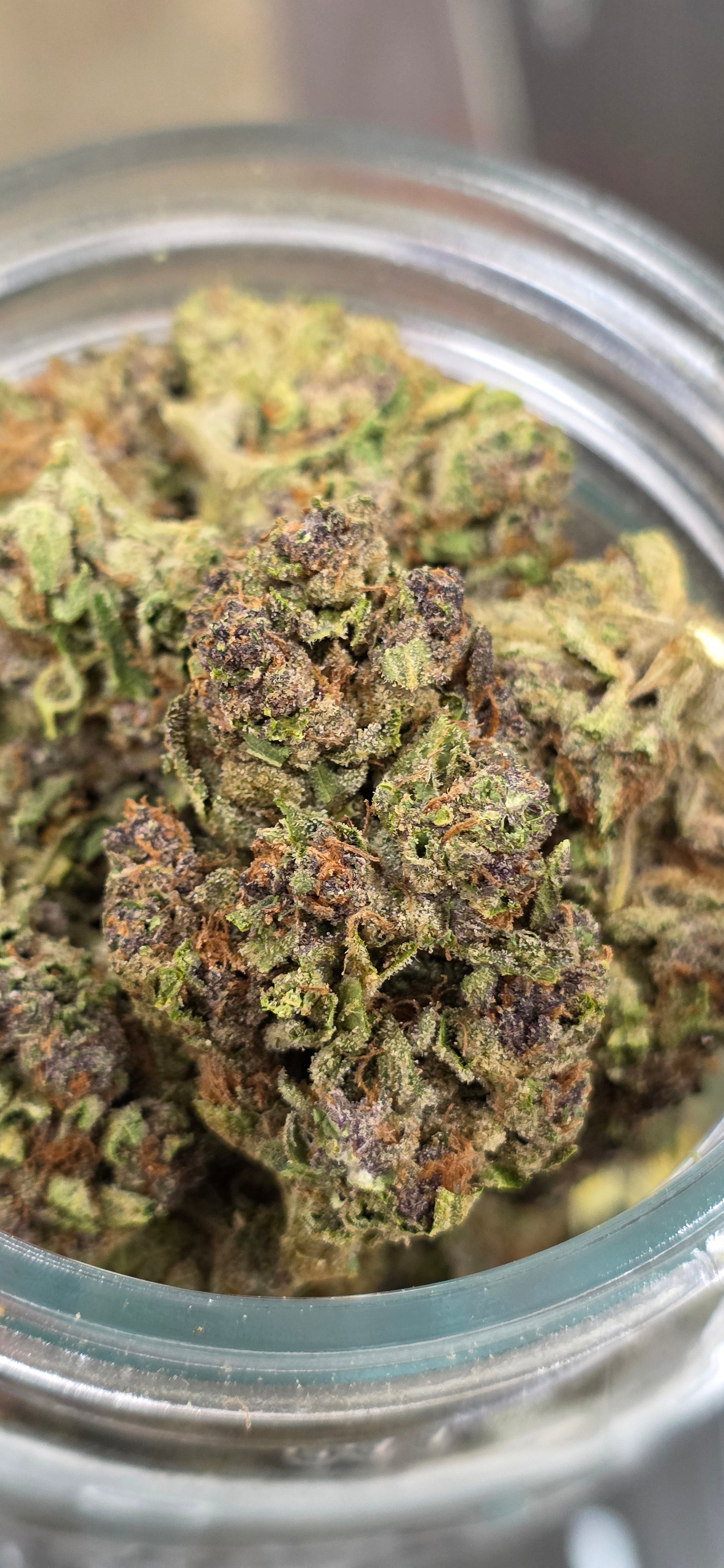 💲Budget Strains 💲