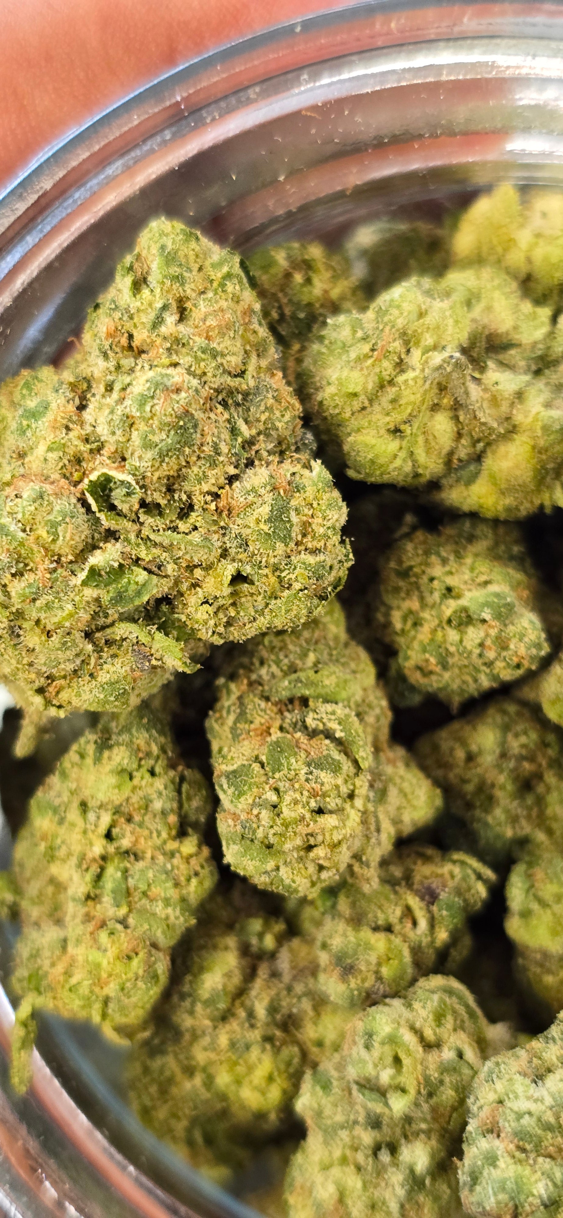 💲Budget Strains 💲