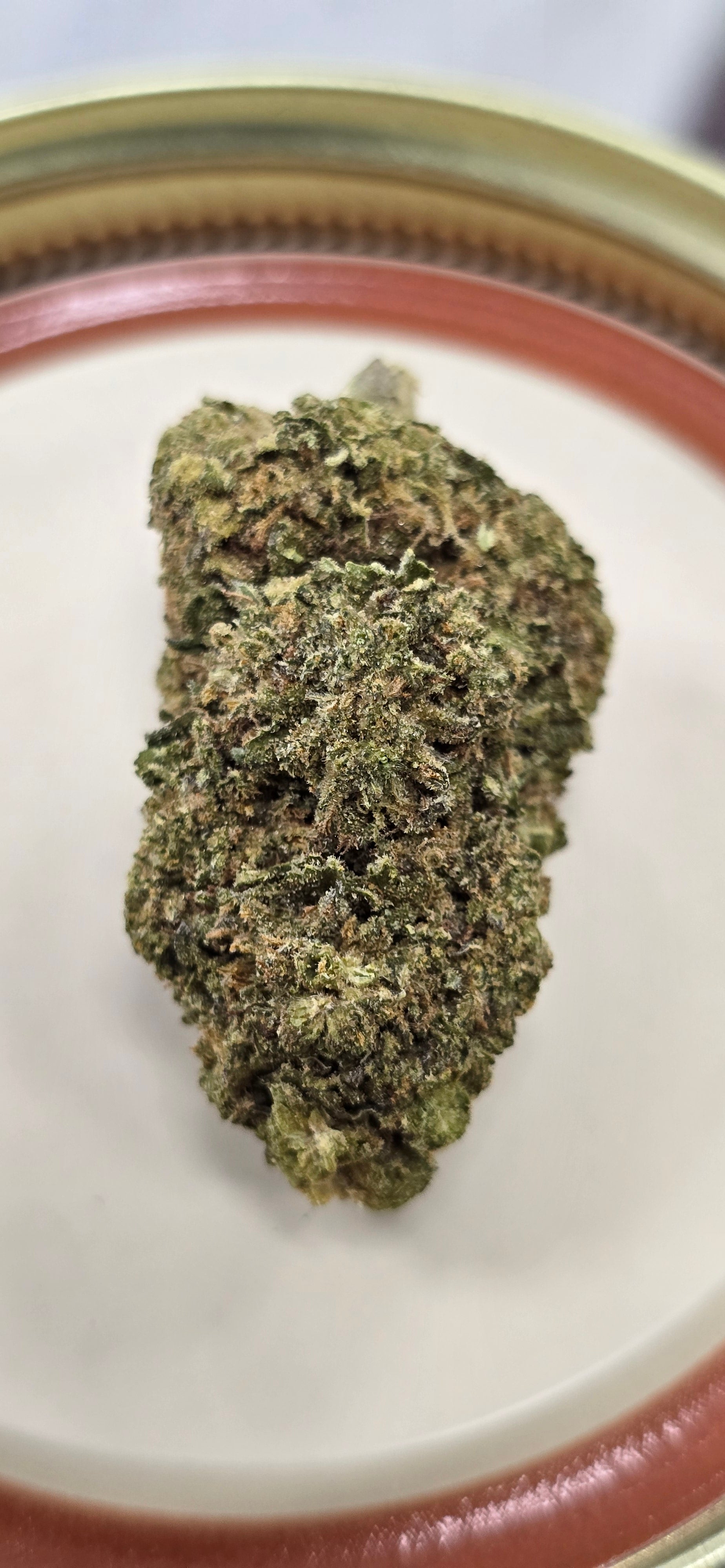 AAA+ Indoor THC-A Flower  ( Hybrid )