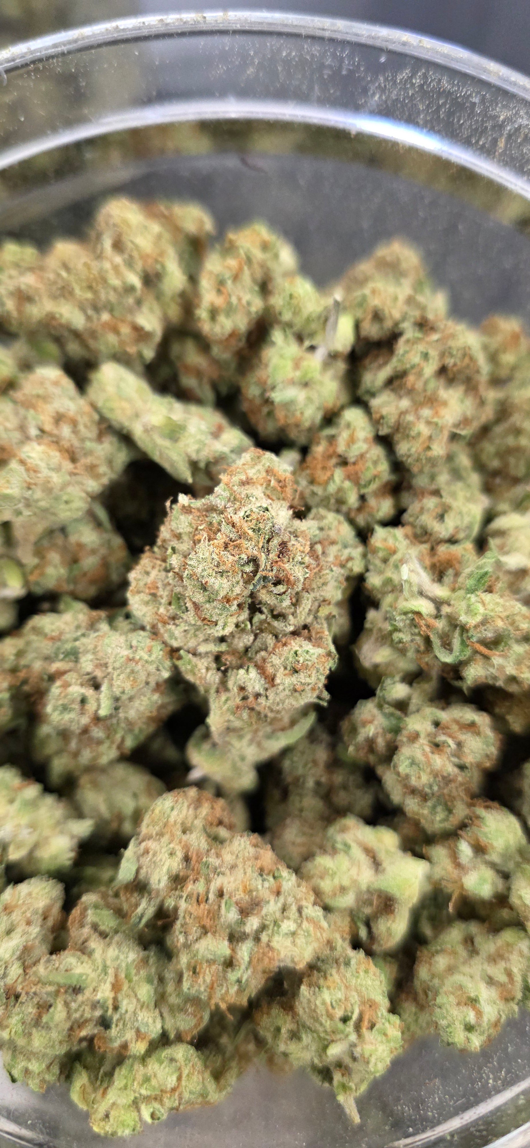 💲Budget Strains 💲