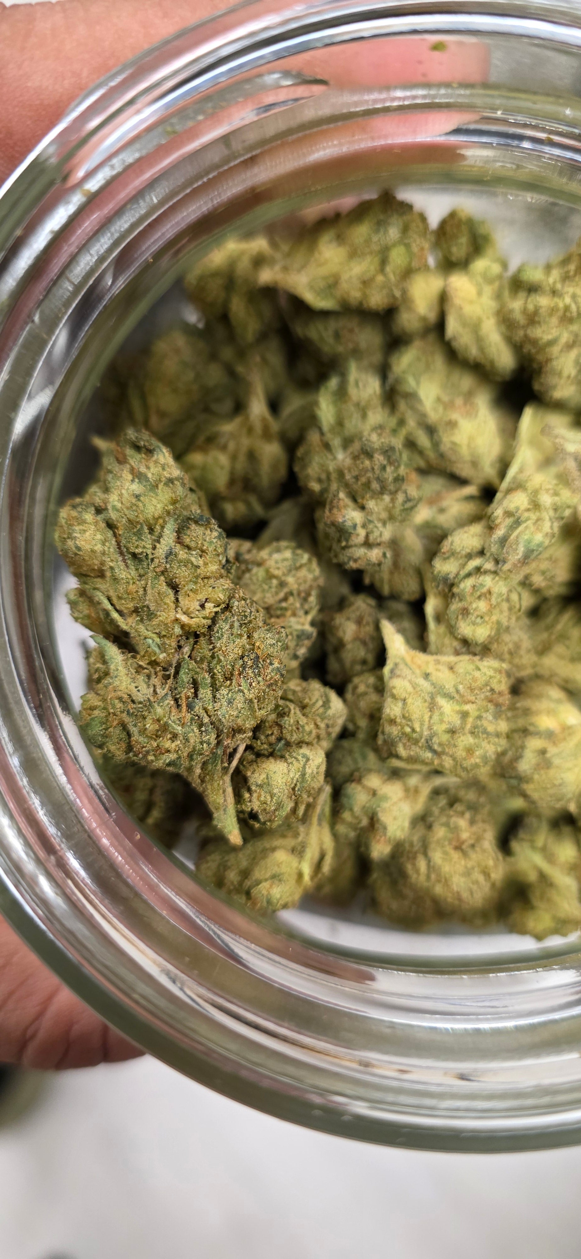 AAA+ Indoor THC-A Flower  ( Indica )