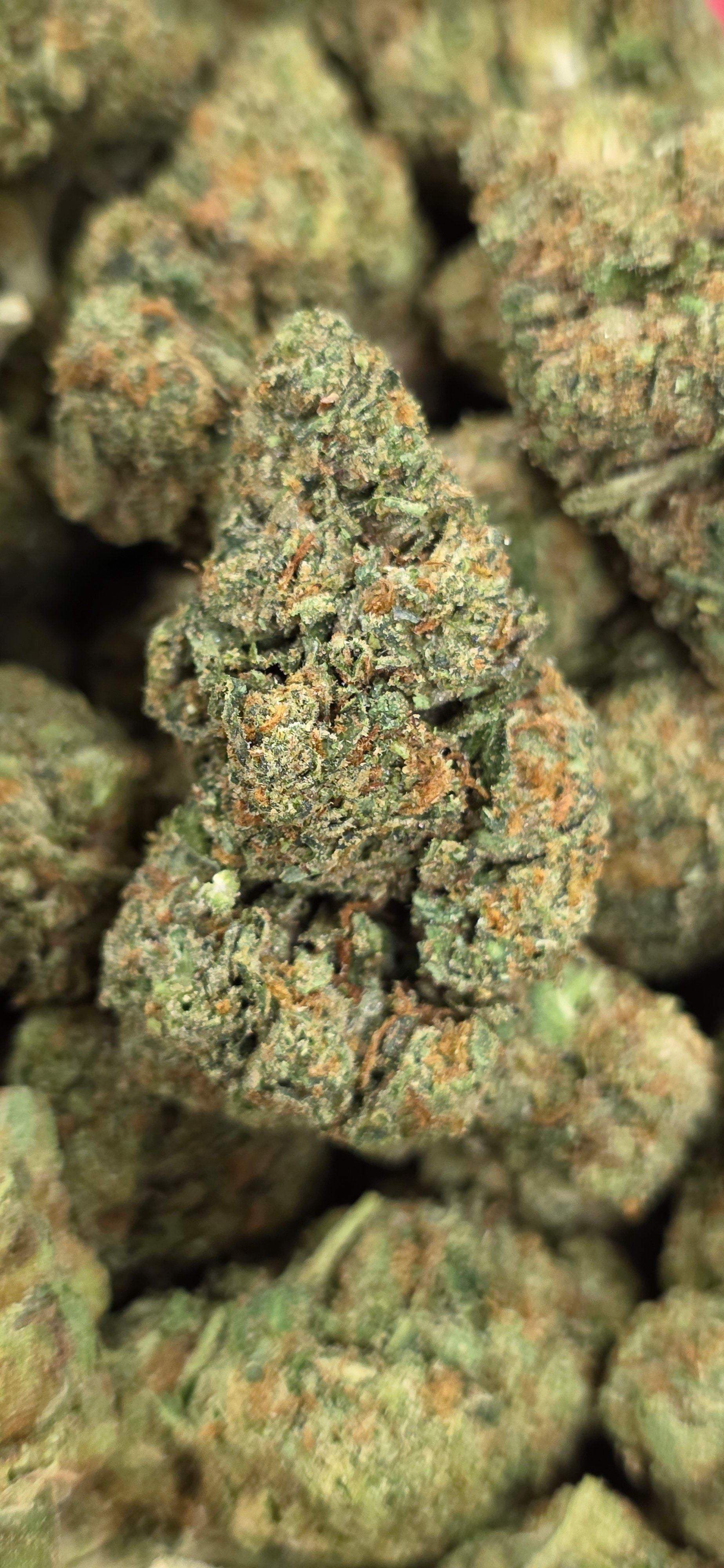 💲Budget Strains 💲