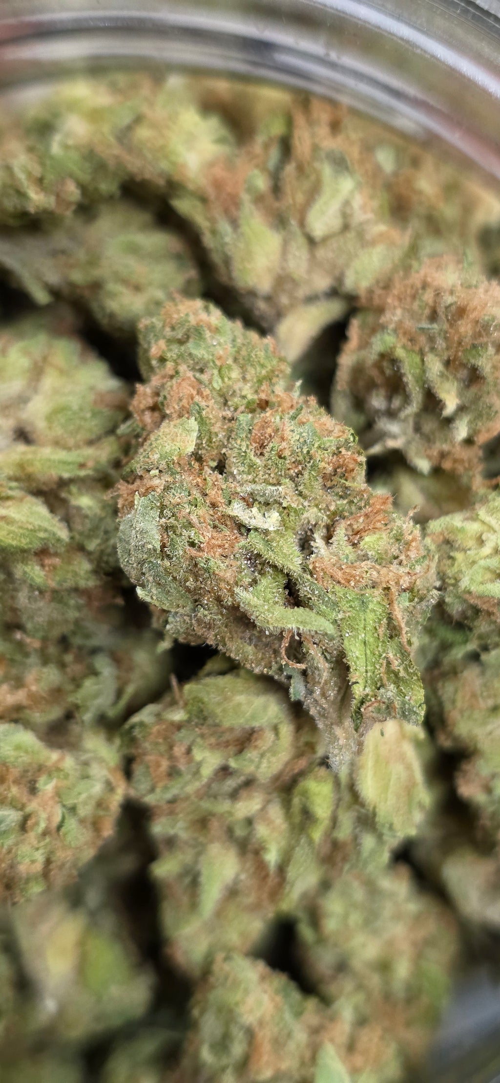 AAA+ Indoor THC-A Flower  ( Sativa )