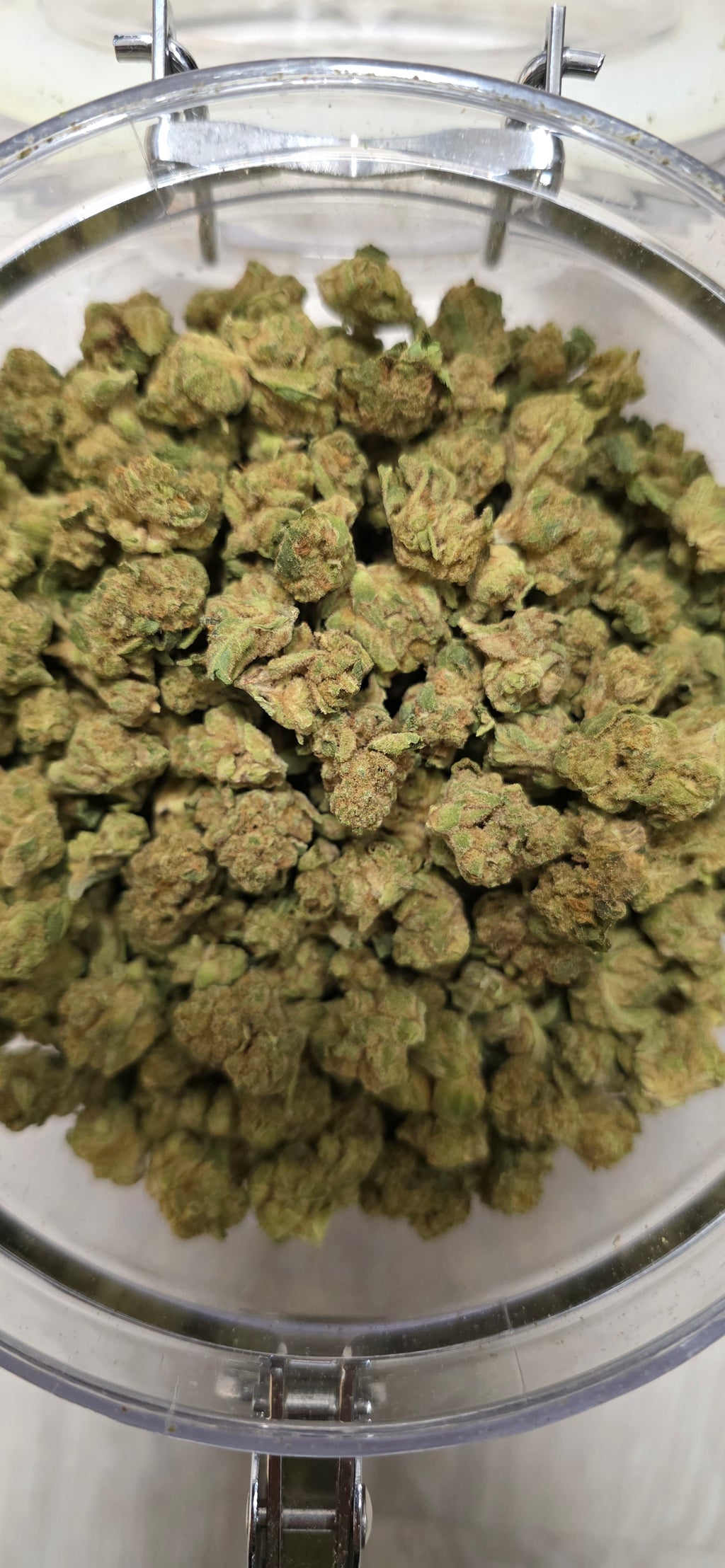 💲Budget Strains 💲