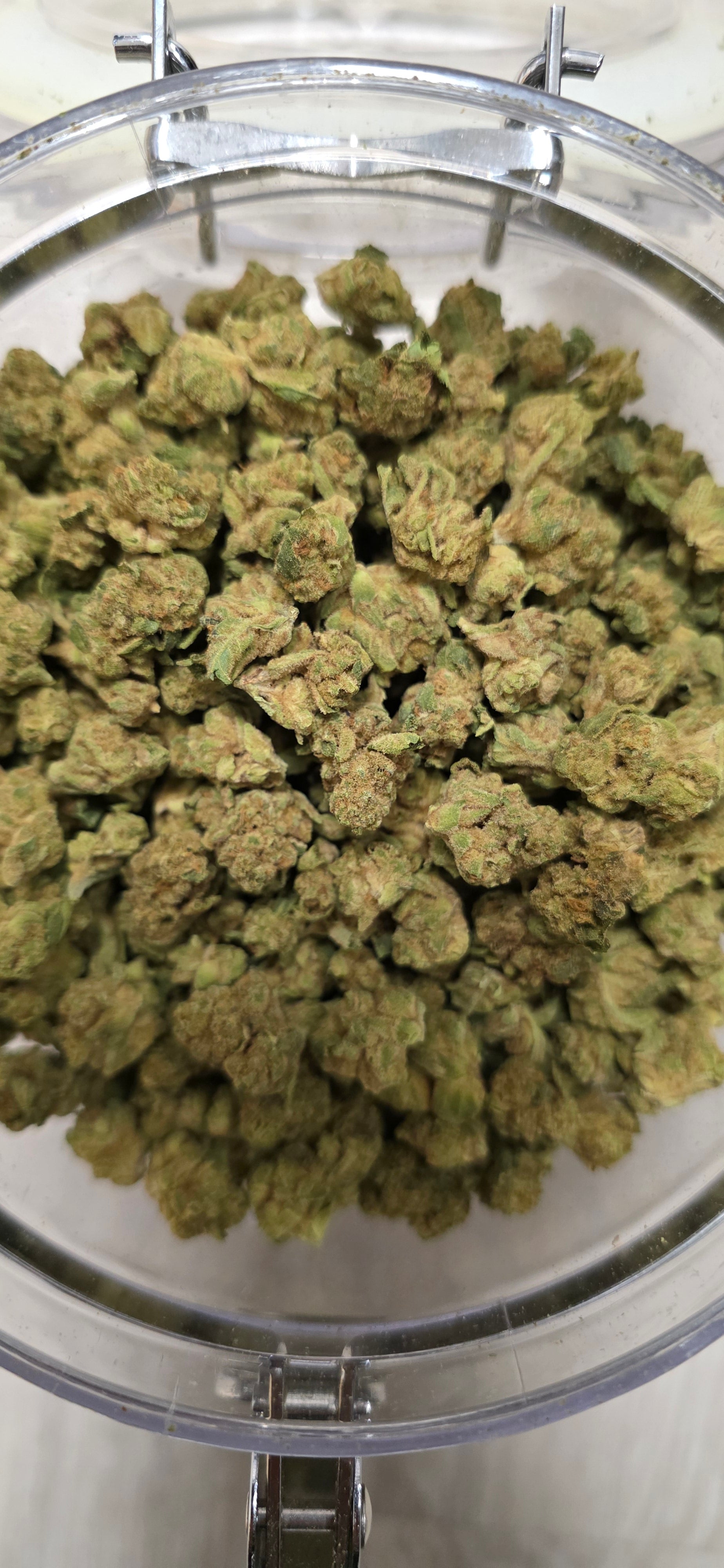 💲Budget Strains 💲