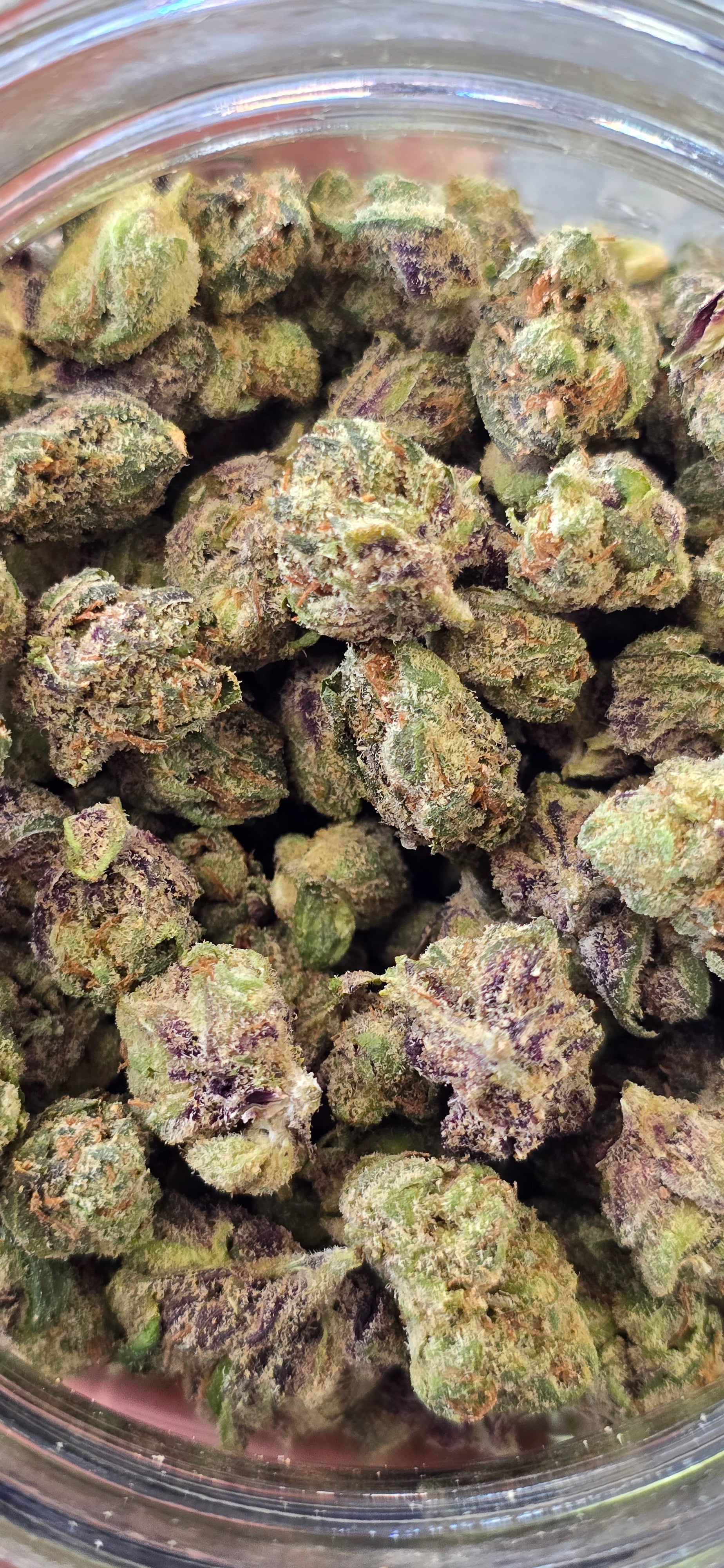 Popcorn Specials ⛽️