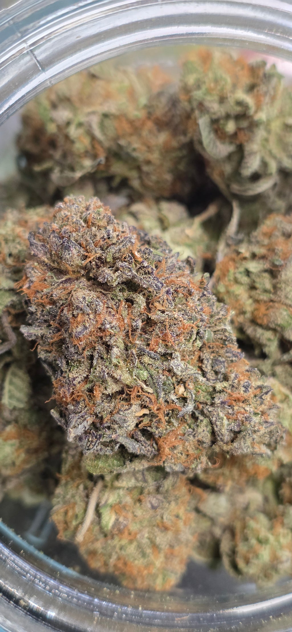 AAA+ Indoor THC-A Flower  ( Indica )