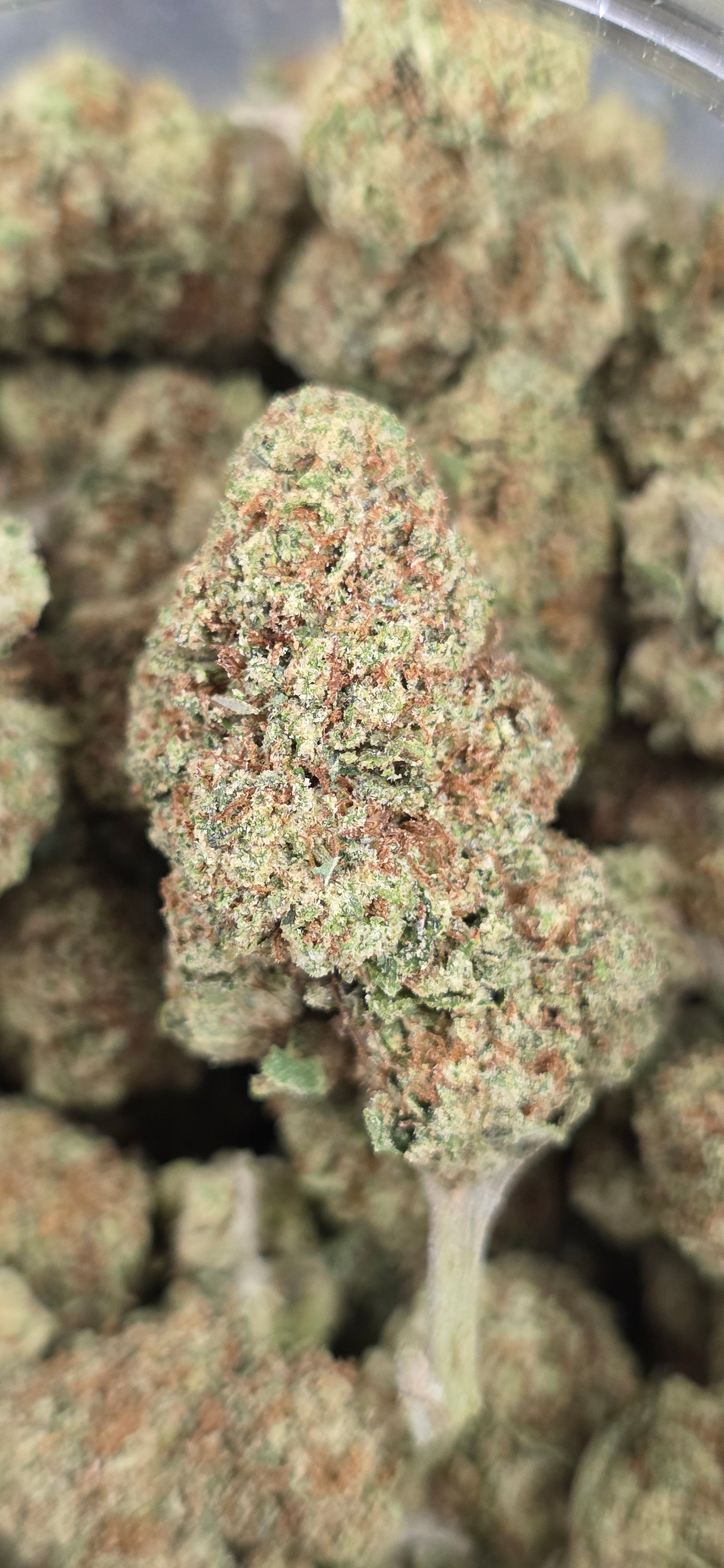 AAA+ Indoor THC-A Flower  ( Hybrid )