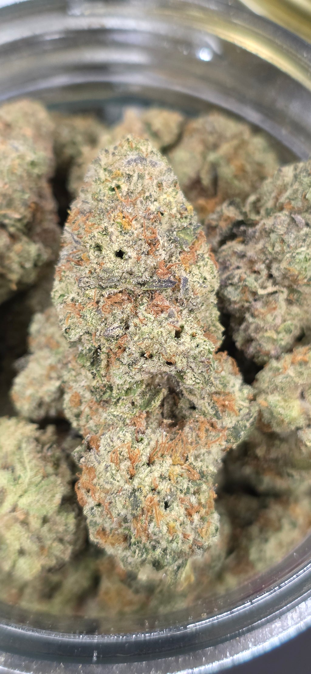 💚 Top Tier Strains 💚