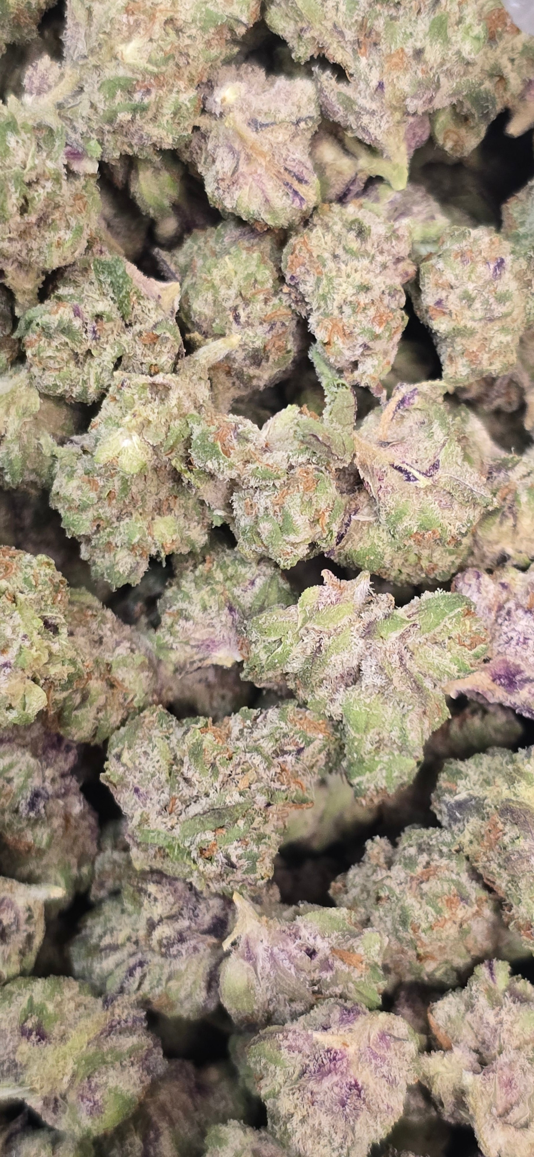 Popcorn Specials ⛽️