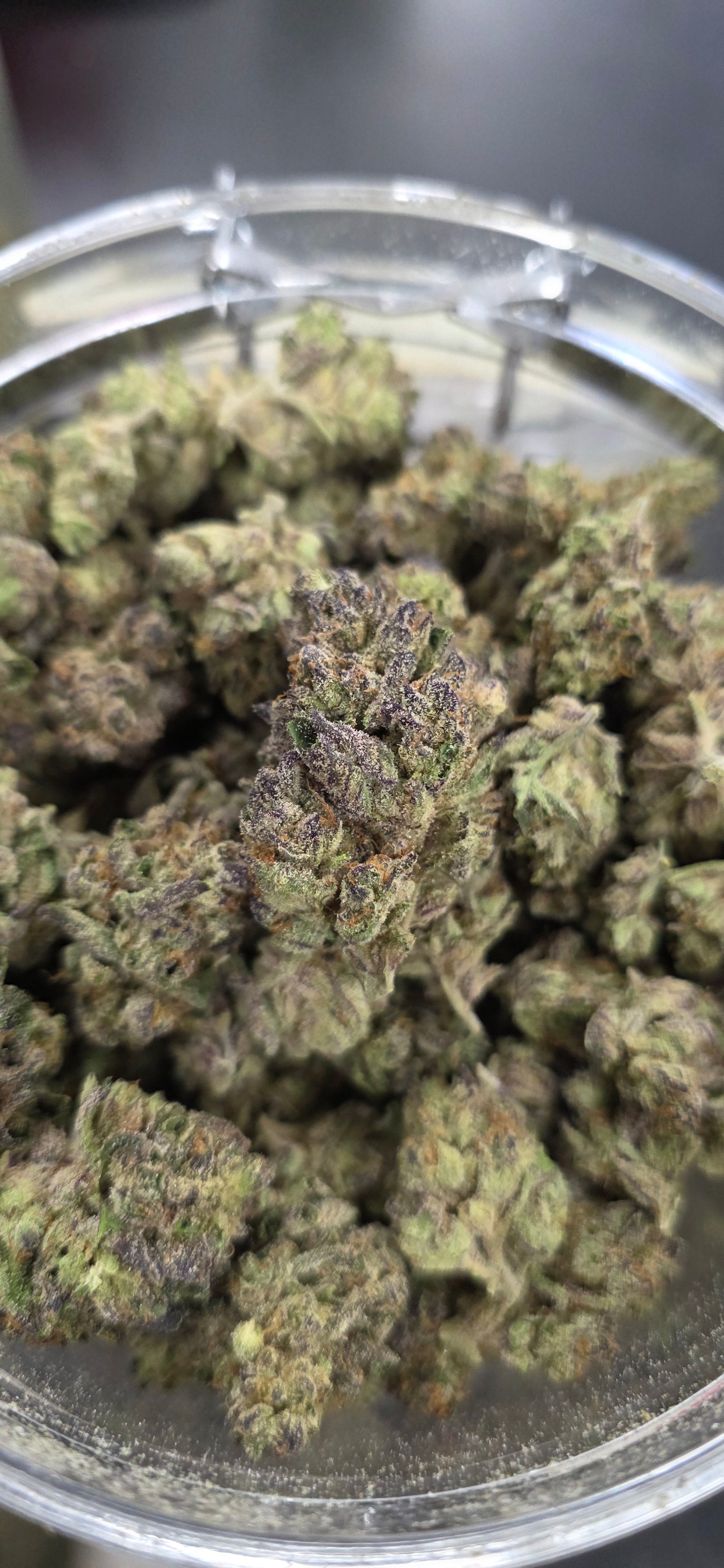 💲Budget Strains 💲