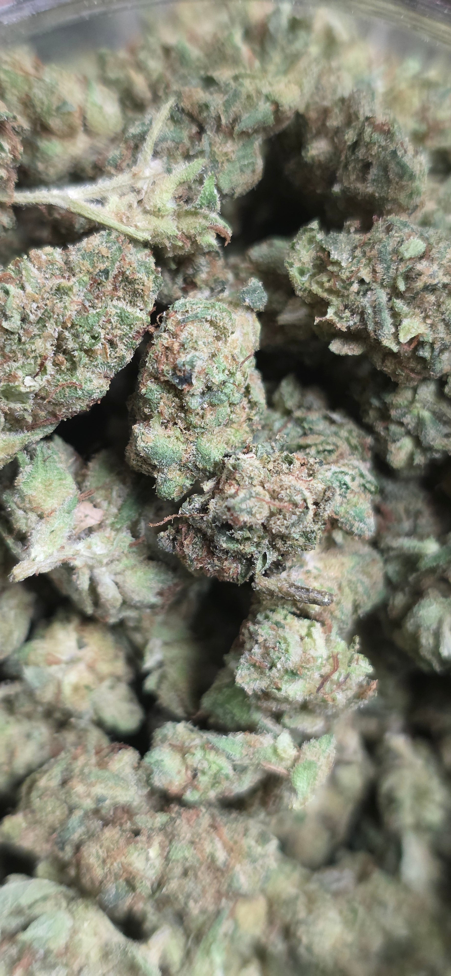 Popcorn Specials ⛽️