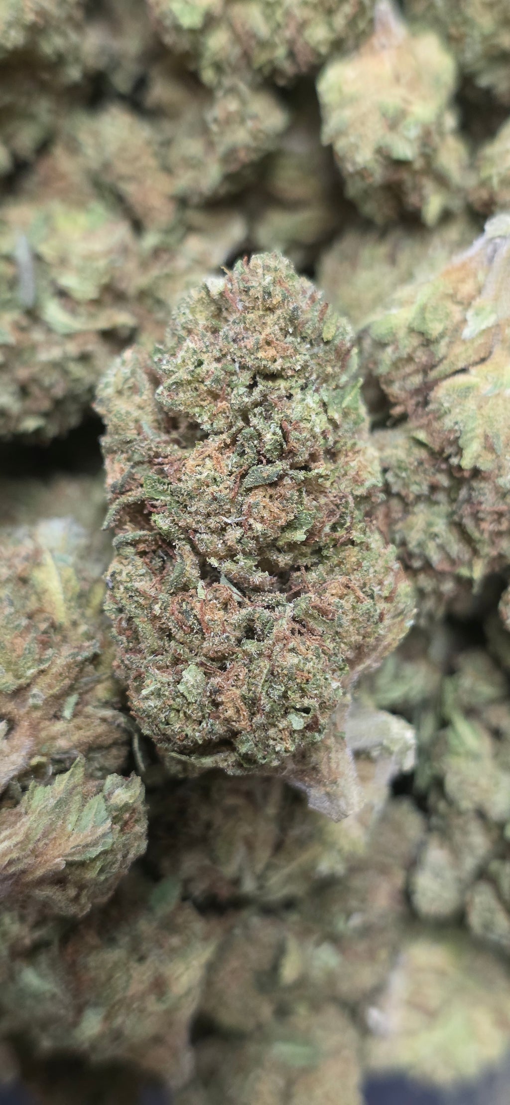 💲Budget Strains 💲