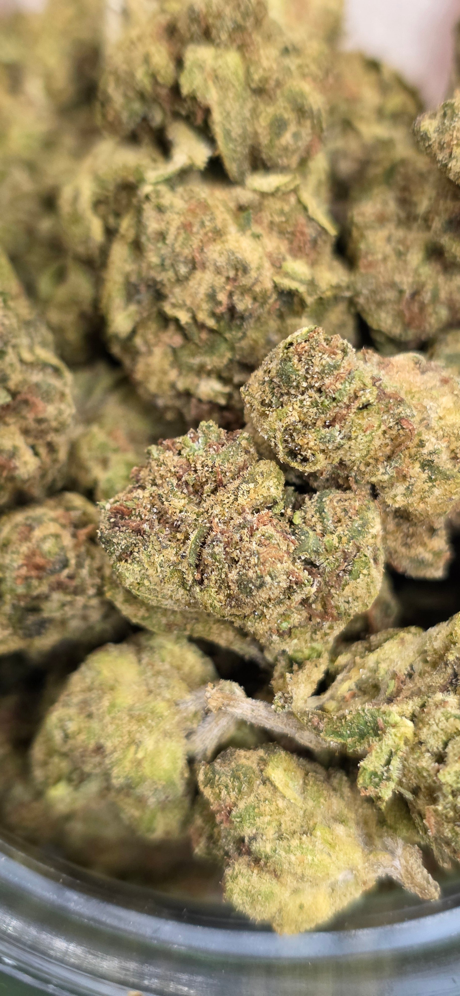 AAA+ Indoor THC-A Flower  ( Indica )