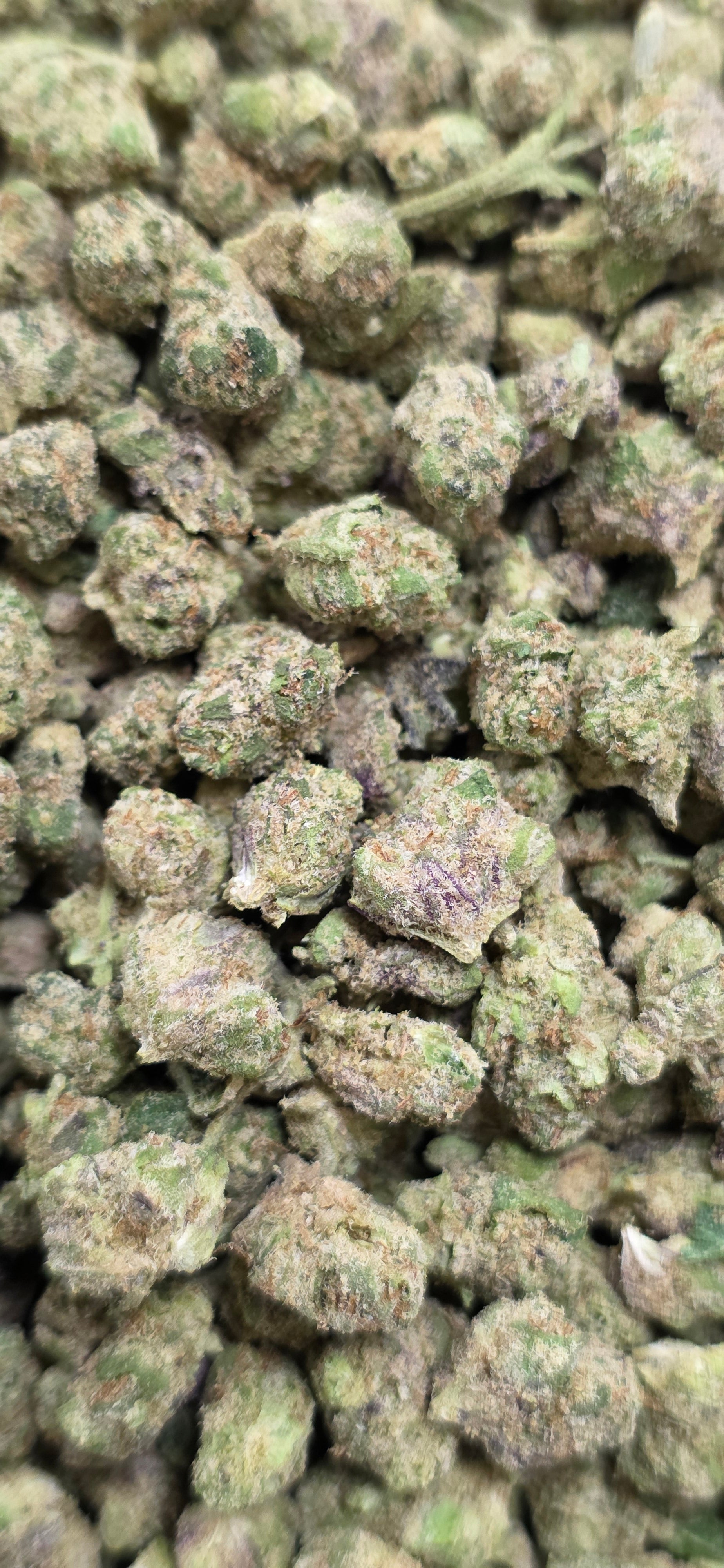 Popcorn Specials ⛽️