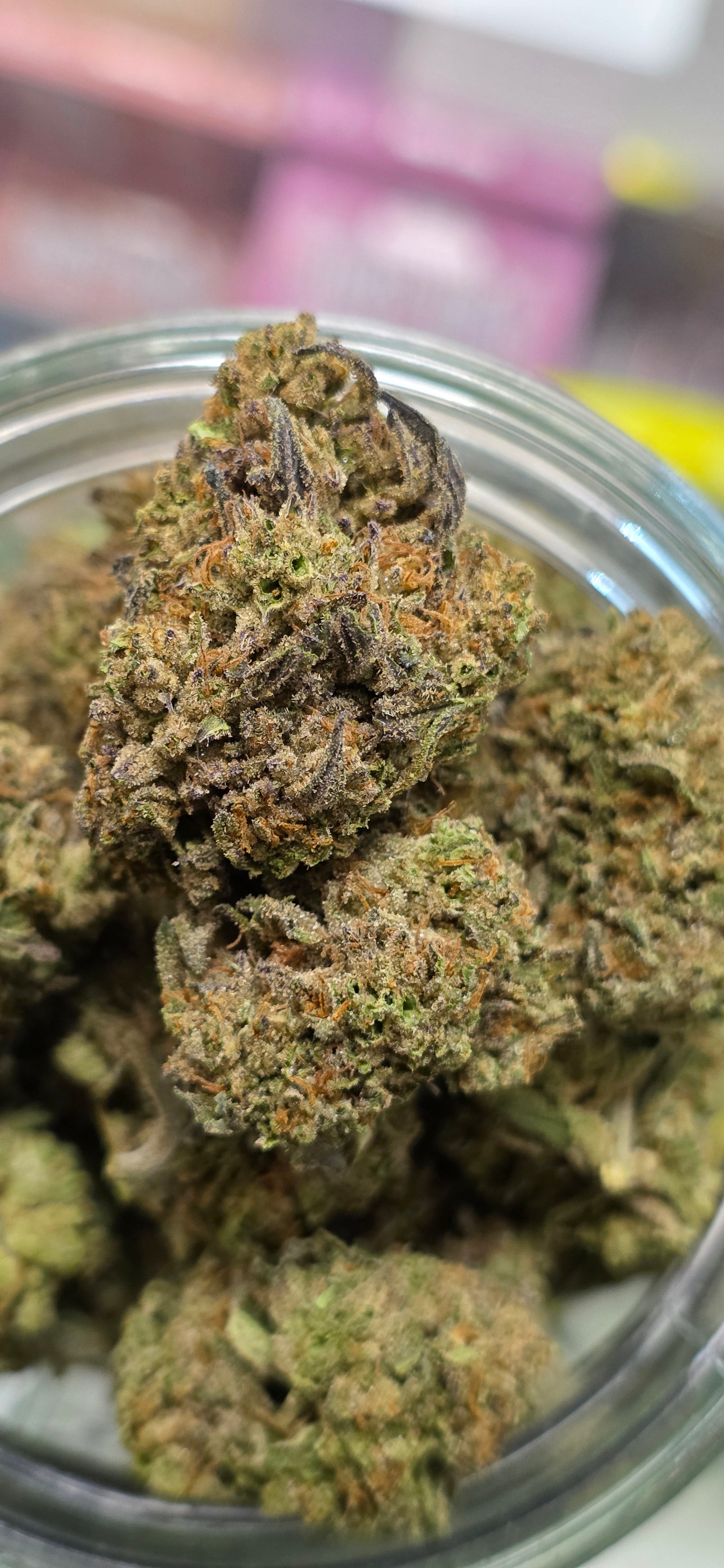 AAA+ Indoor THC-A Flower  ( Hybrid )