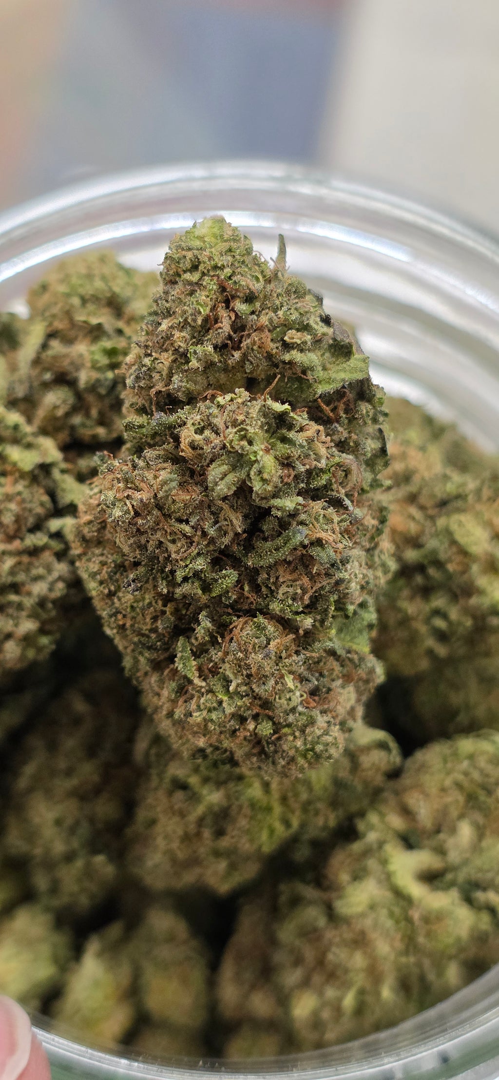 AAA+ Indoor THC-A Flower  ( Sativa )