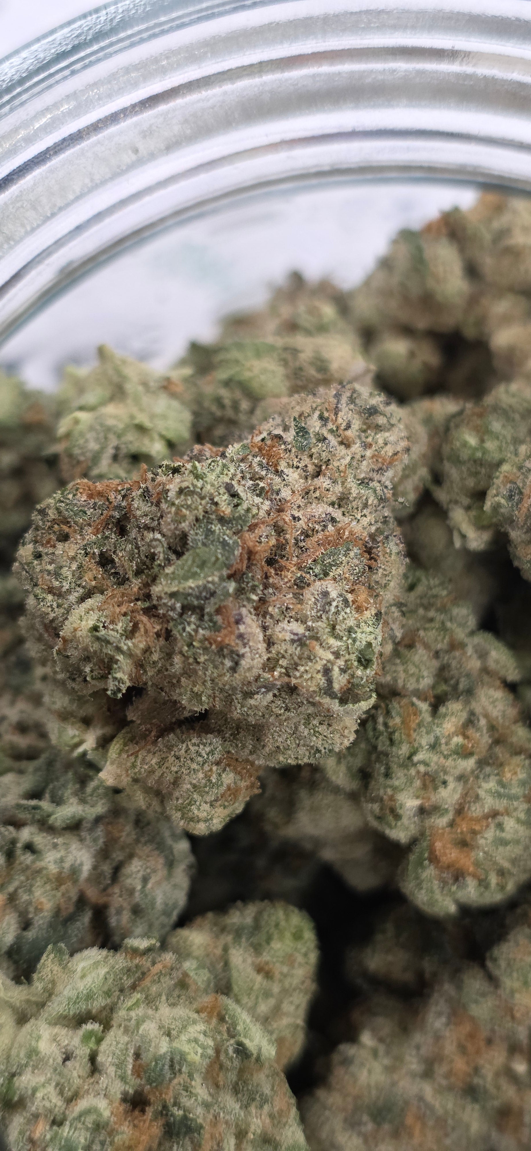 💚 Top Tier Strains 💚