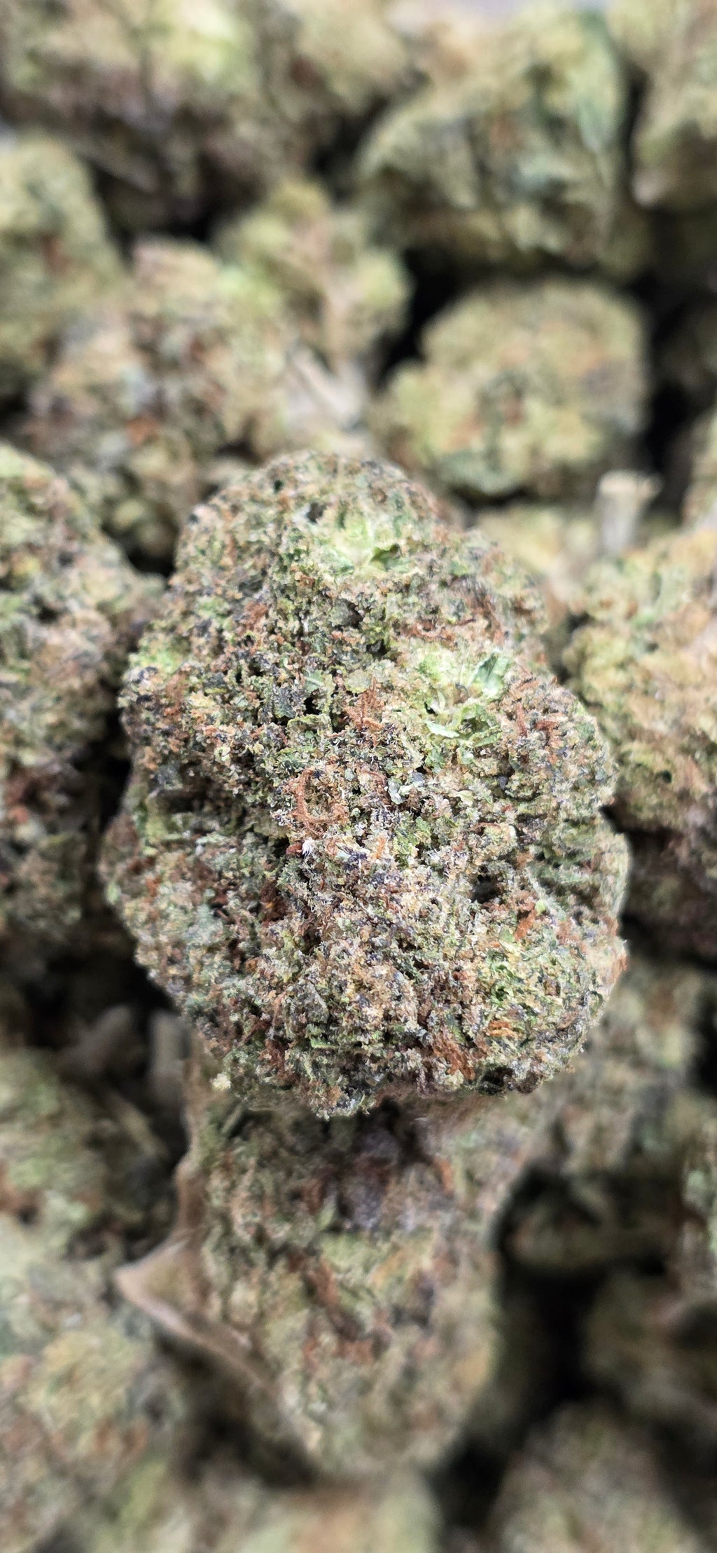 💲Budget Strains 💲