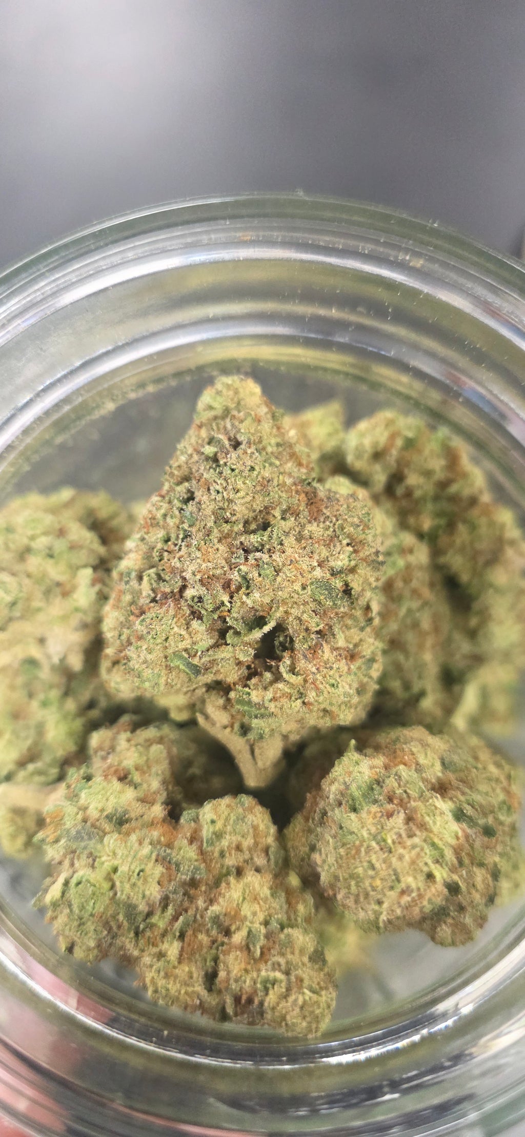 AAA+ Indoor THC-A Flower  ( Indica )