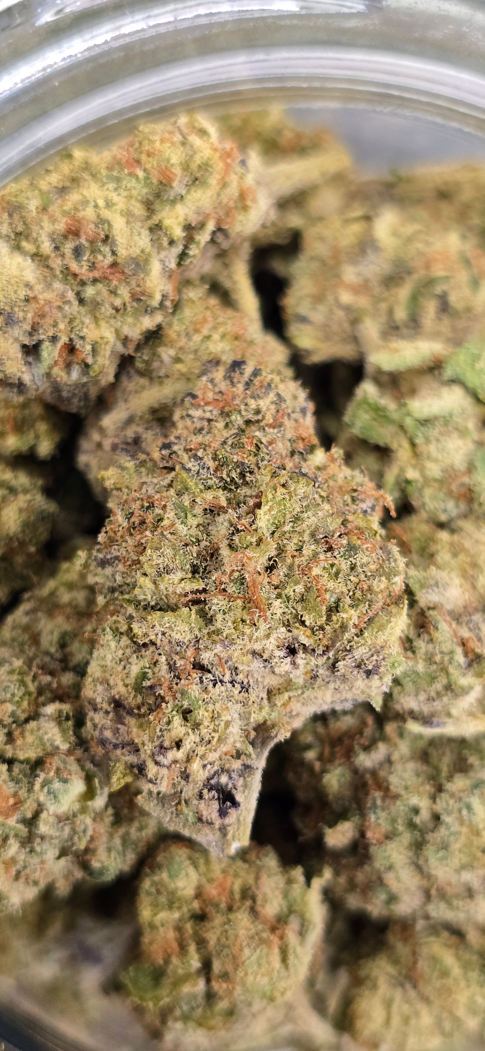 AAA+ Indoor THC-A Flower  ( Hybrid )