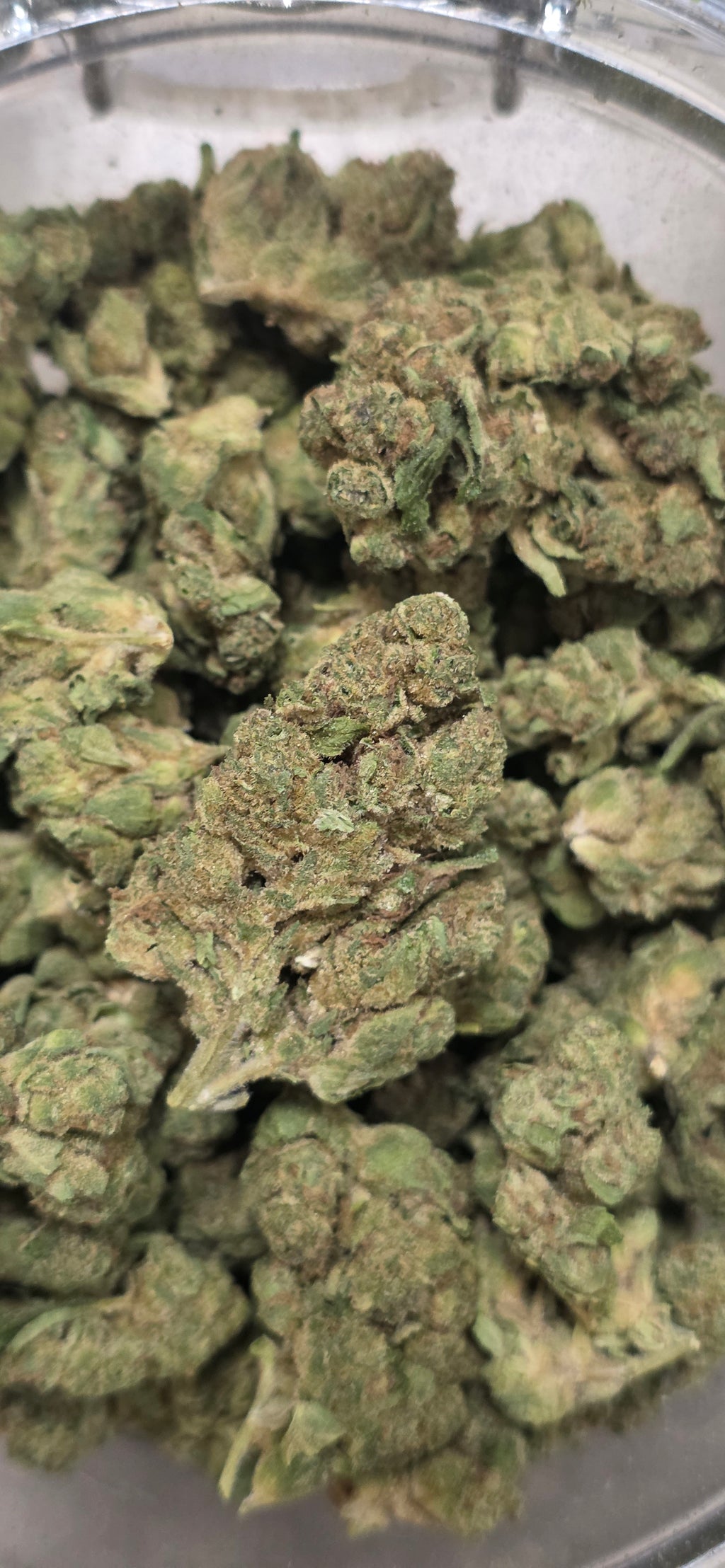 💲Budget Strains 💲
