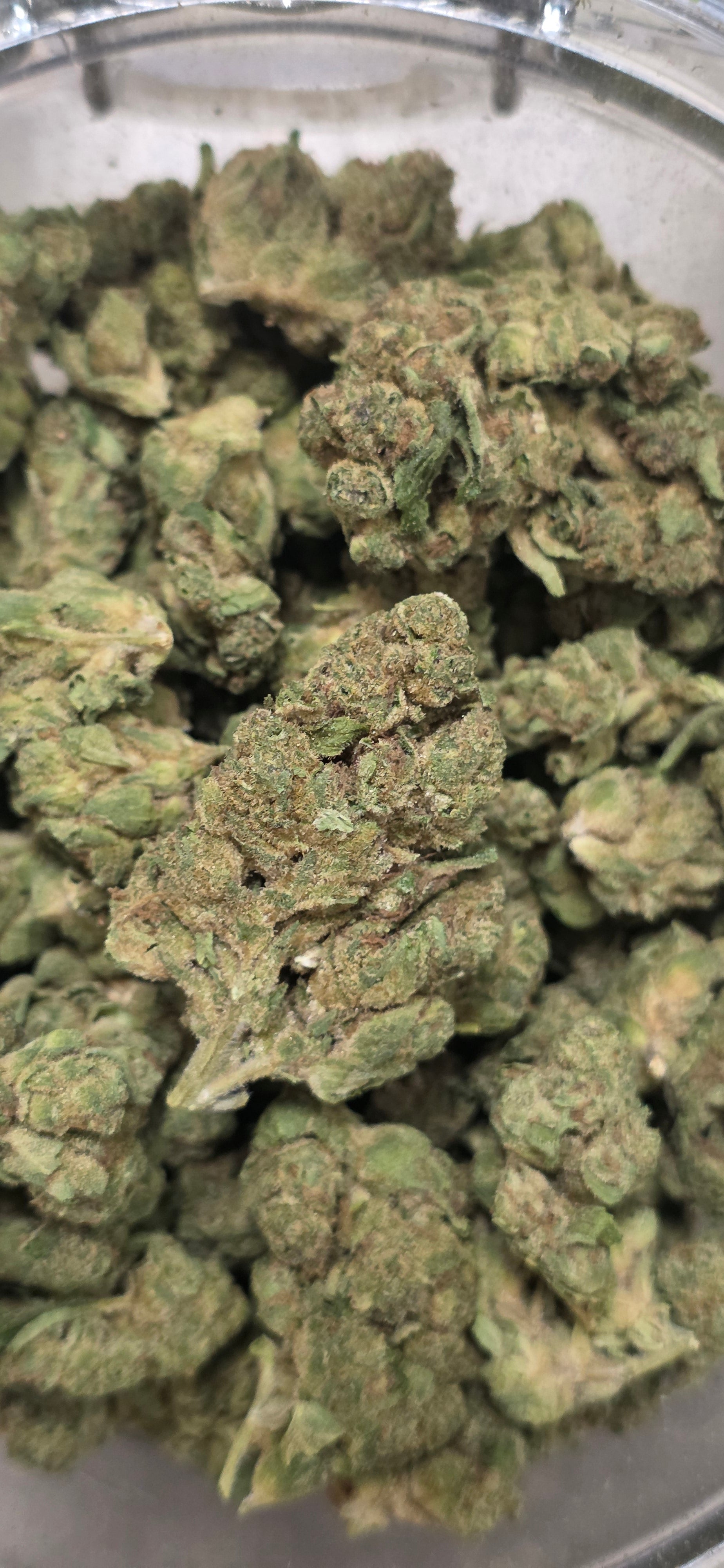 💲Budget Strains 💲