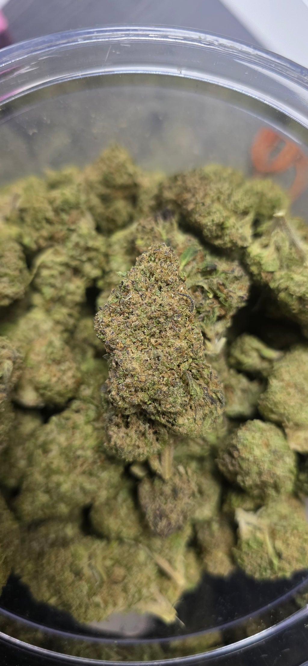💲Budget Strains 💲