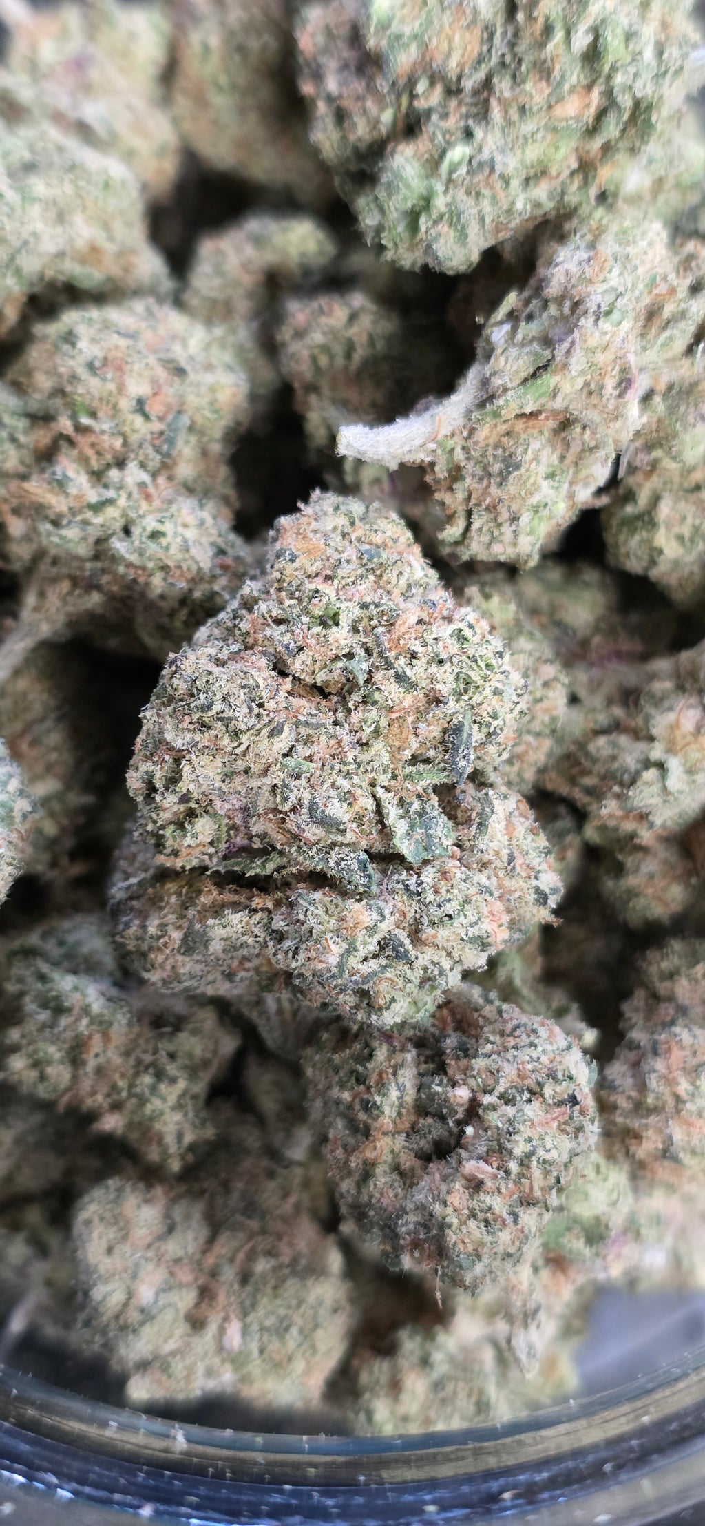 AAA+ Indoor THC-A Flower  ( Hybrid )