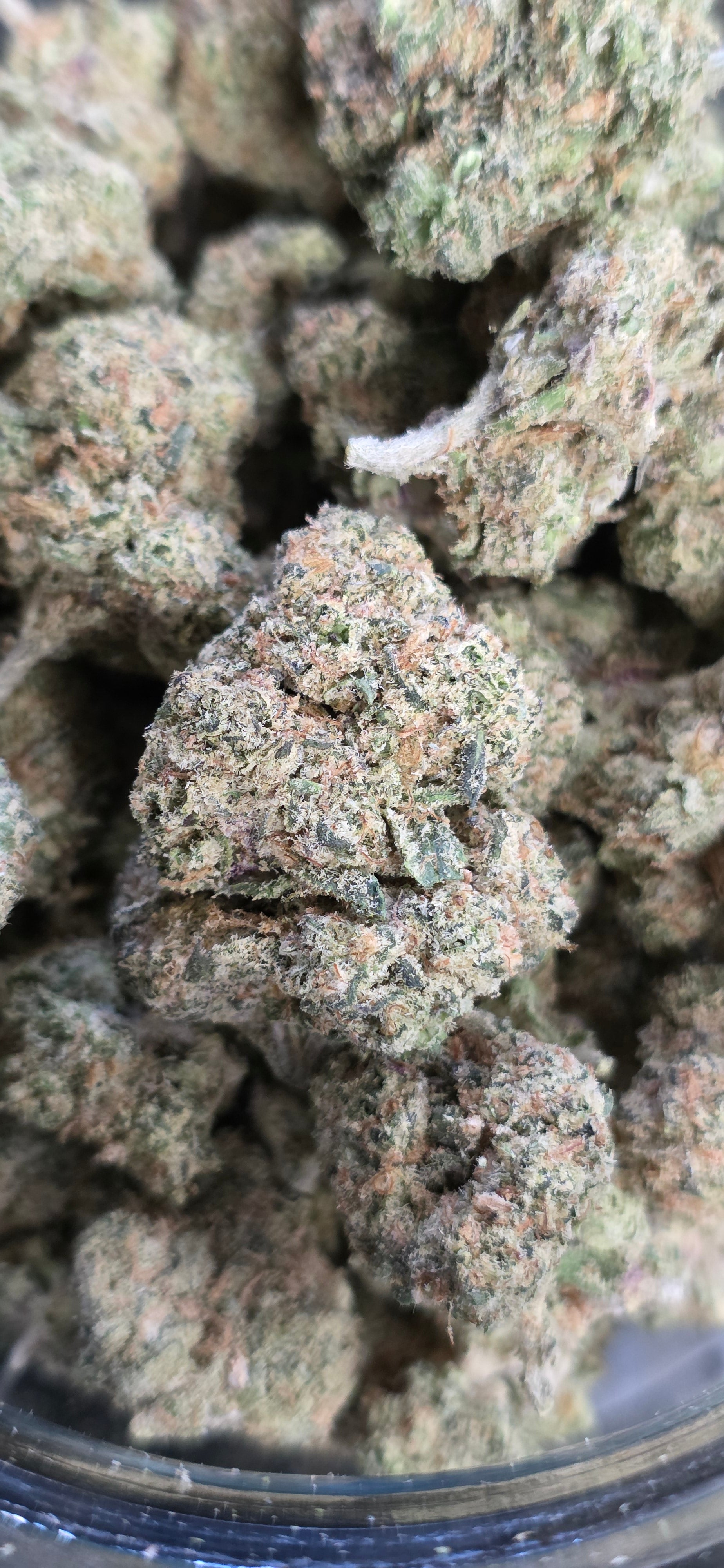 AAA+ Indoor THC-A Flower  ( Hybrid )