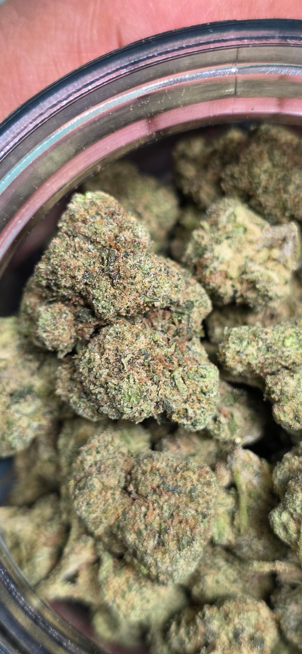 AAA+ Indoor THC-A Flower  ( Indica )