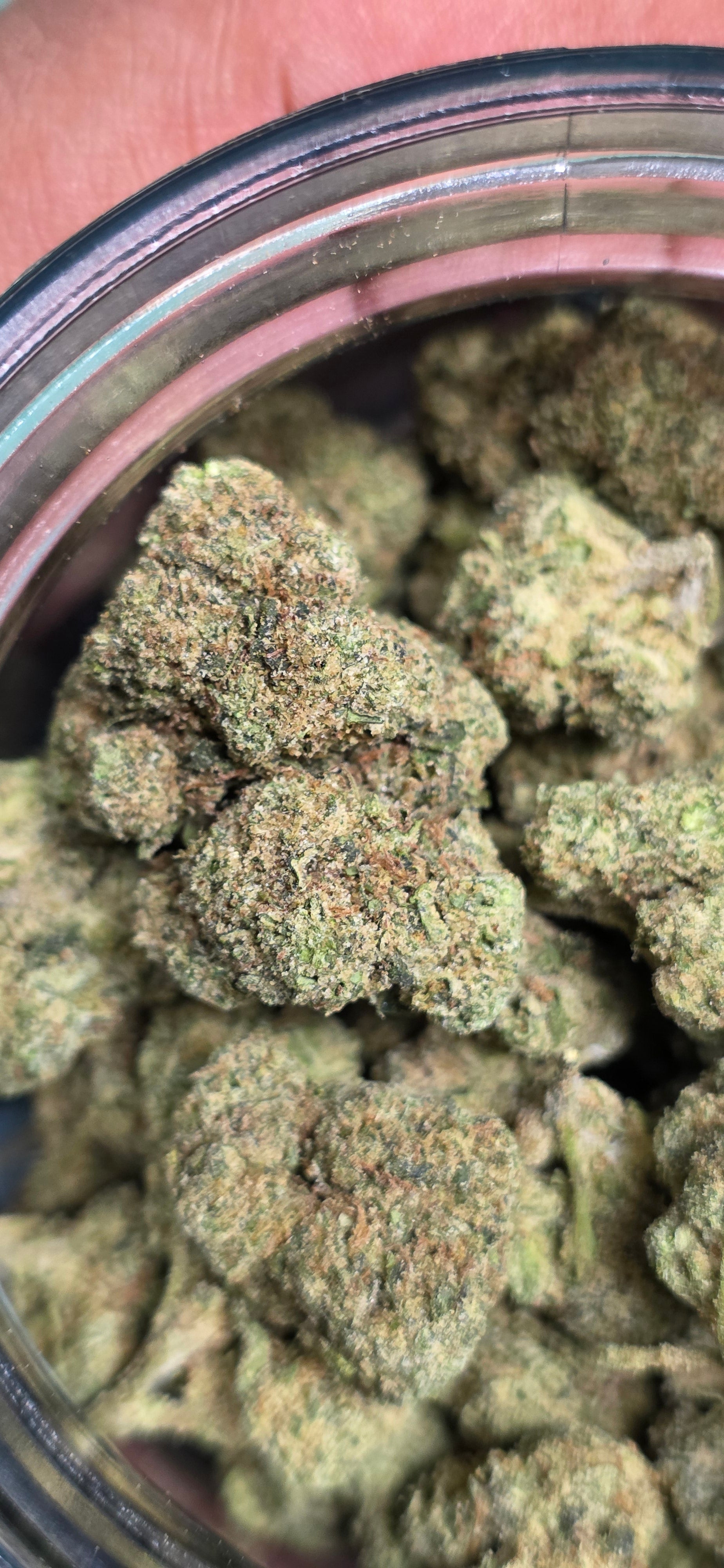 AAA+ Indoor THC-A Flower  ( Indica )