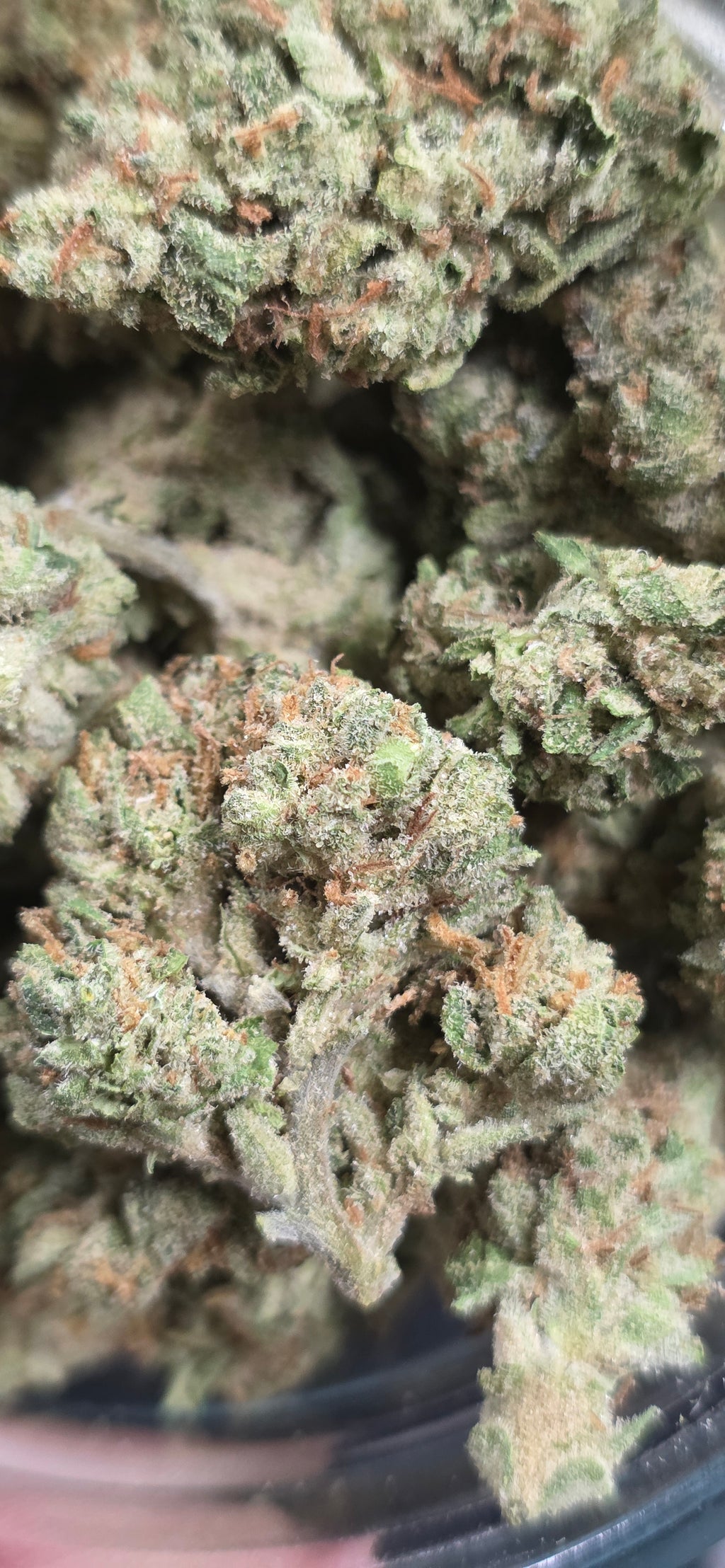AAA+ Indoor THC-A Flower  ( Sativa )