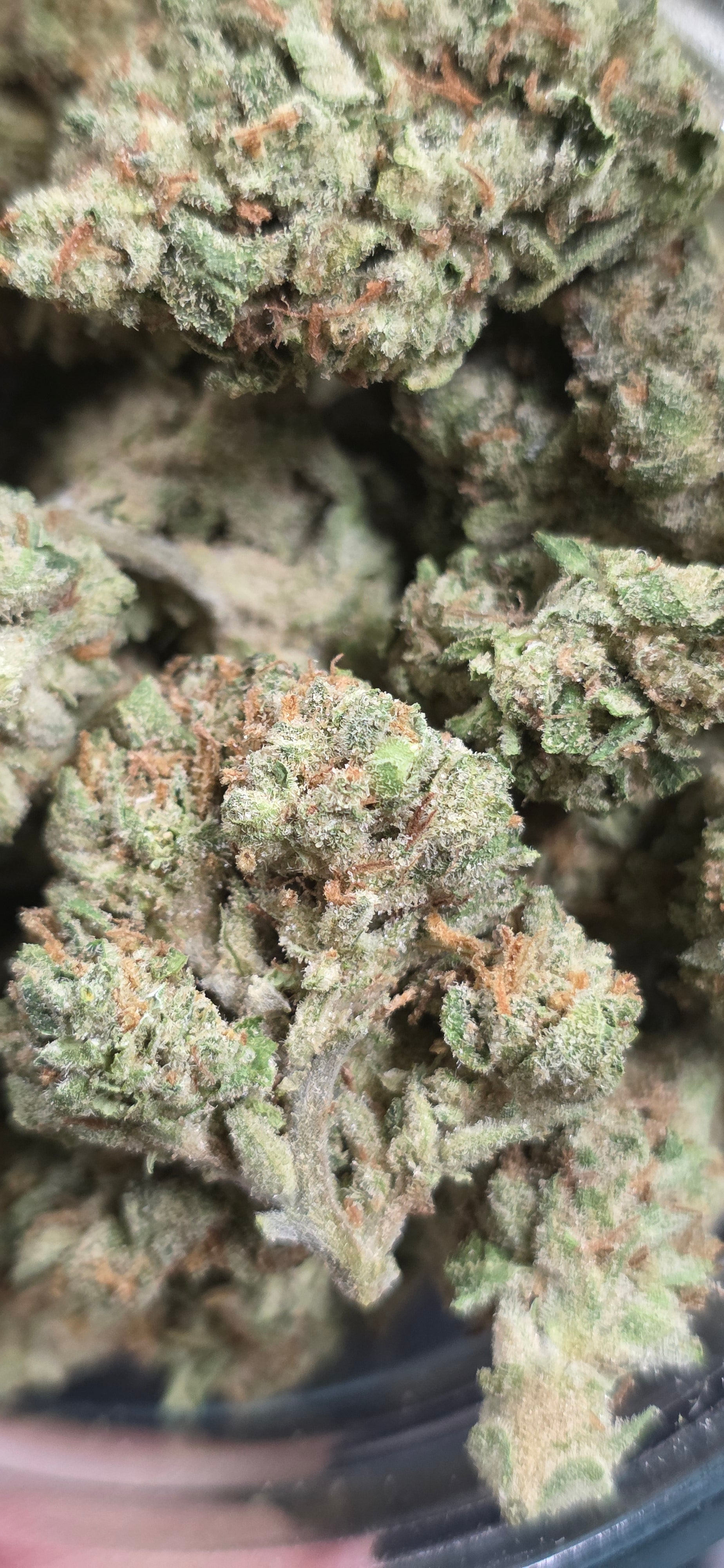 AAA+ Indoor THC-A Flower  ( Sativa )