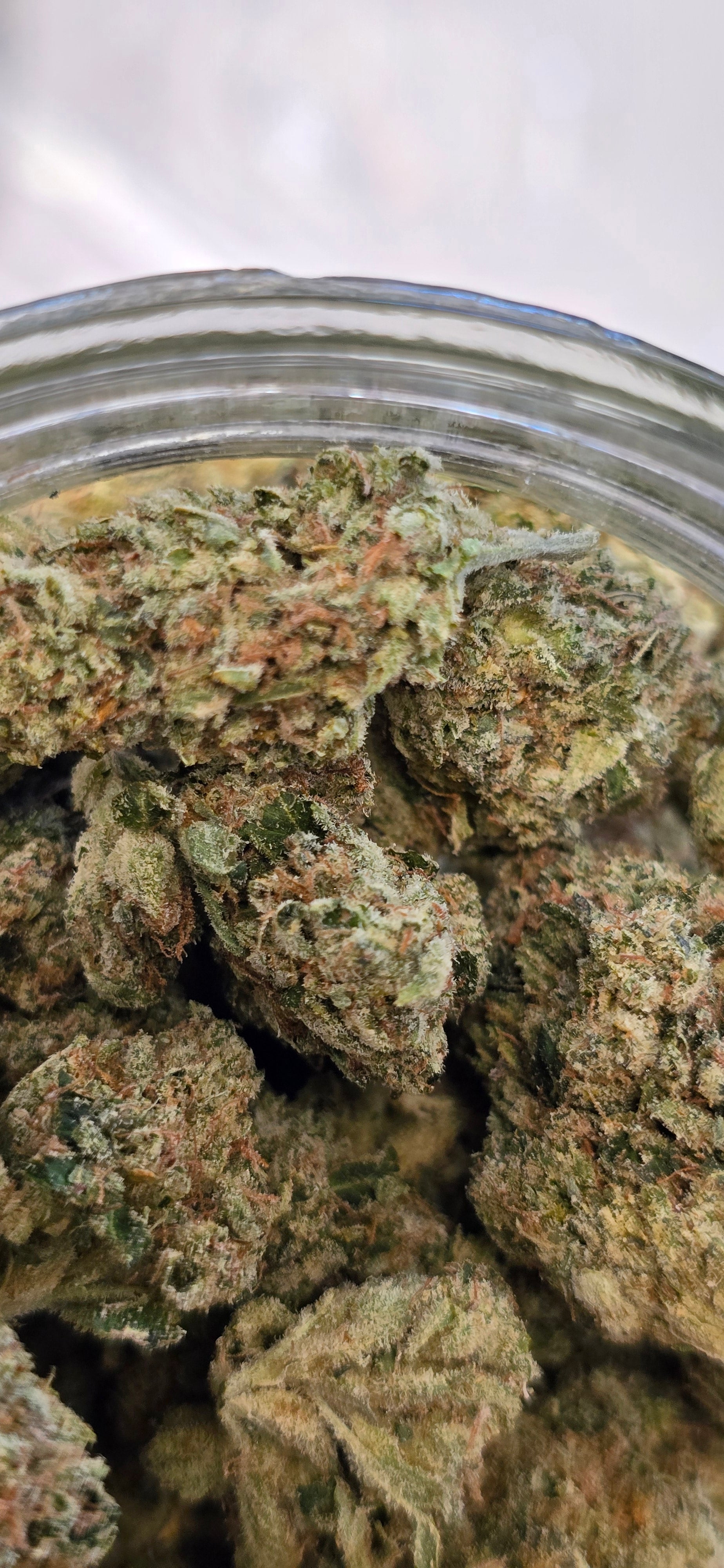 AAA+ Indoor THC-A Flower  ( Hybrid )