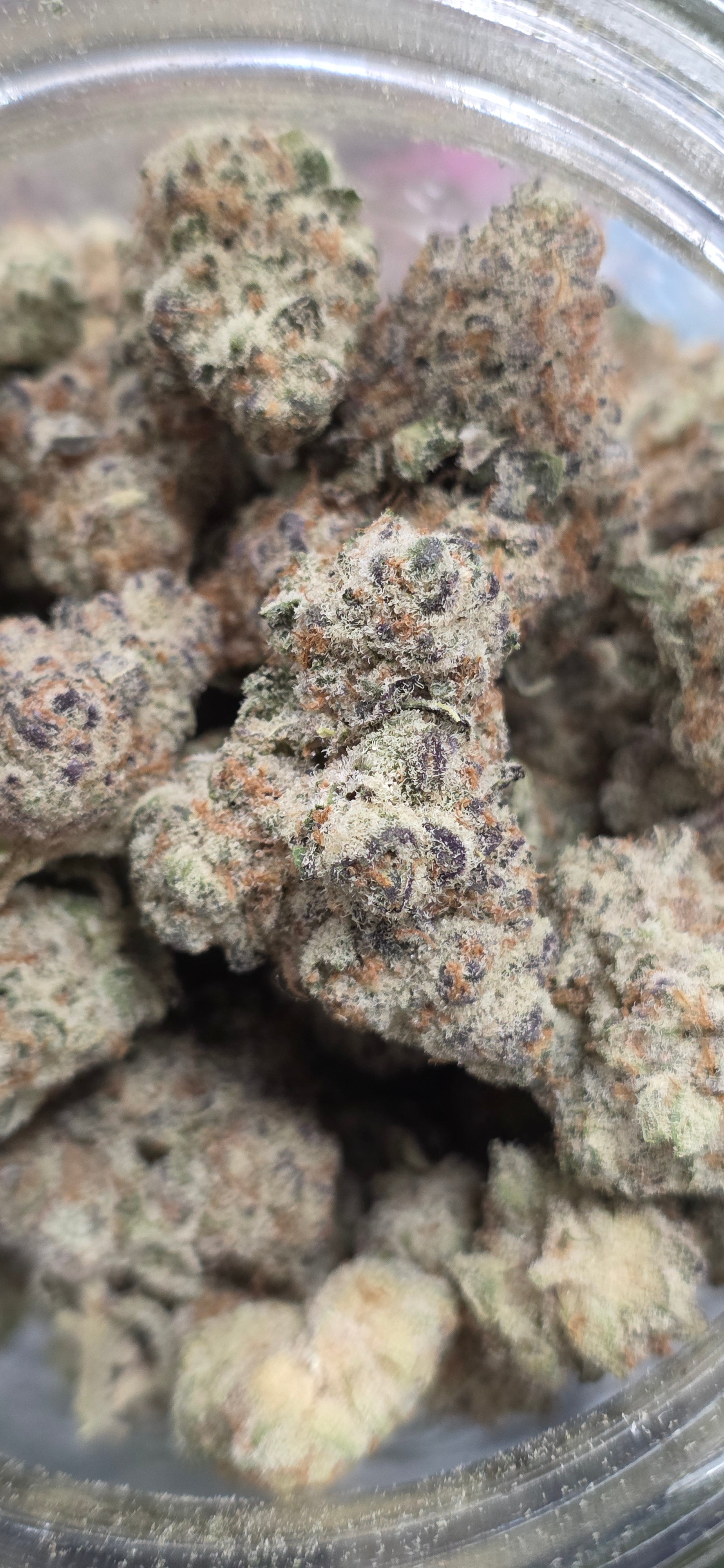💚 Top Tier Strains 💚