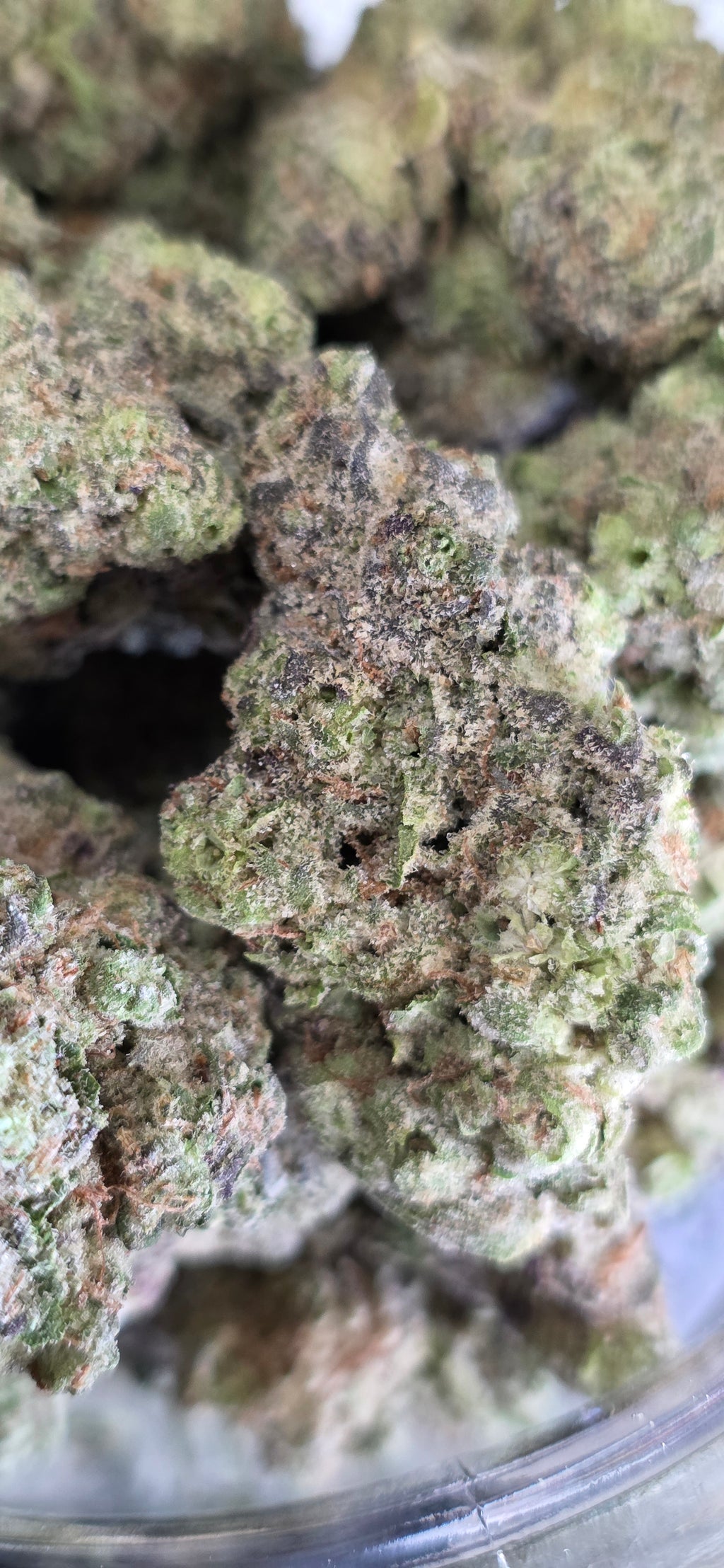 💚 Top Tier Strains 💚
