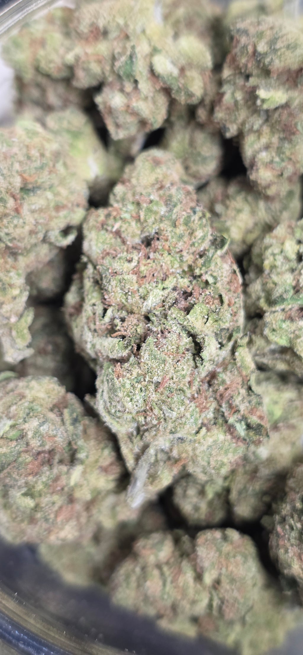 AAA+ Indoor THC-A Flower  ( Indica )
