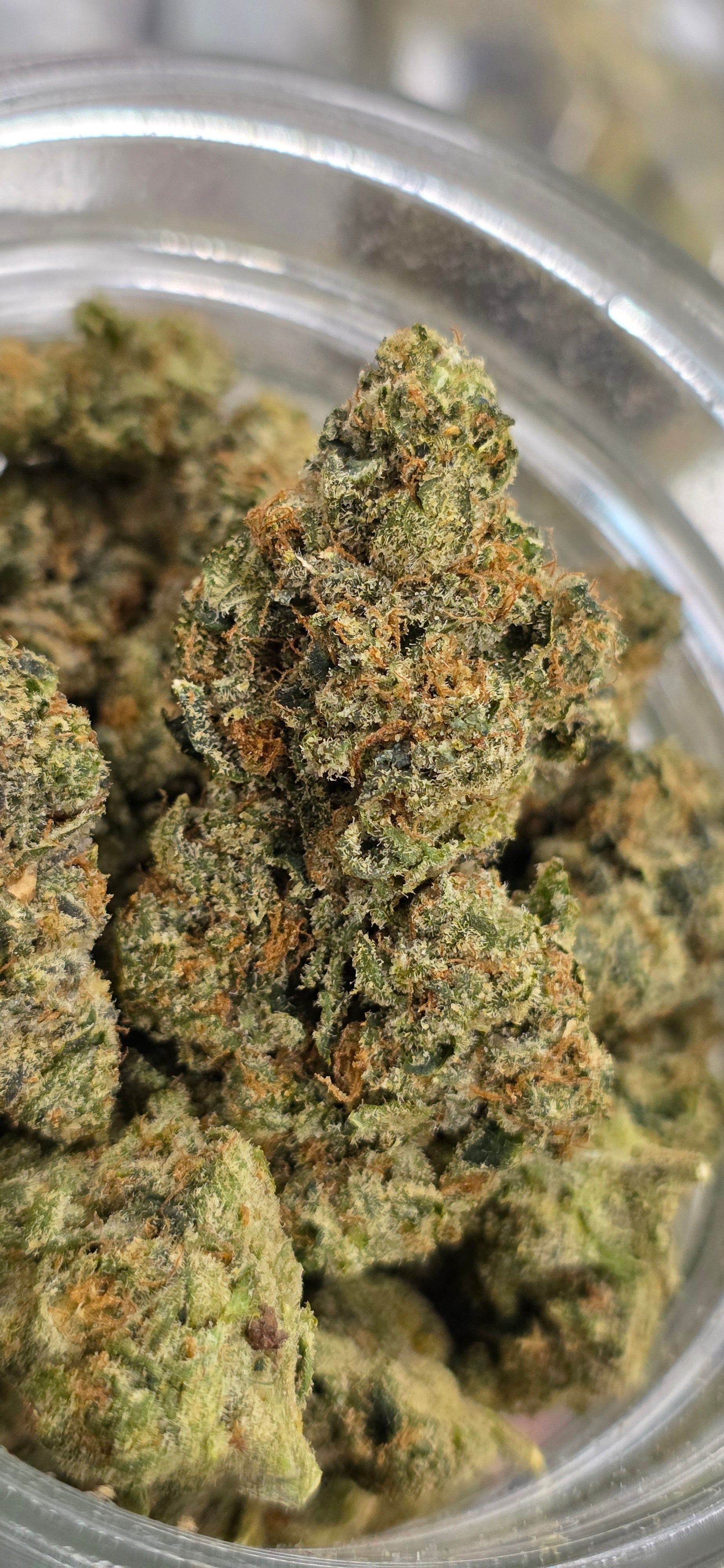 💚 Top Tier Strains 💚