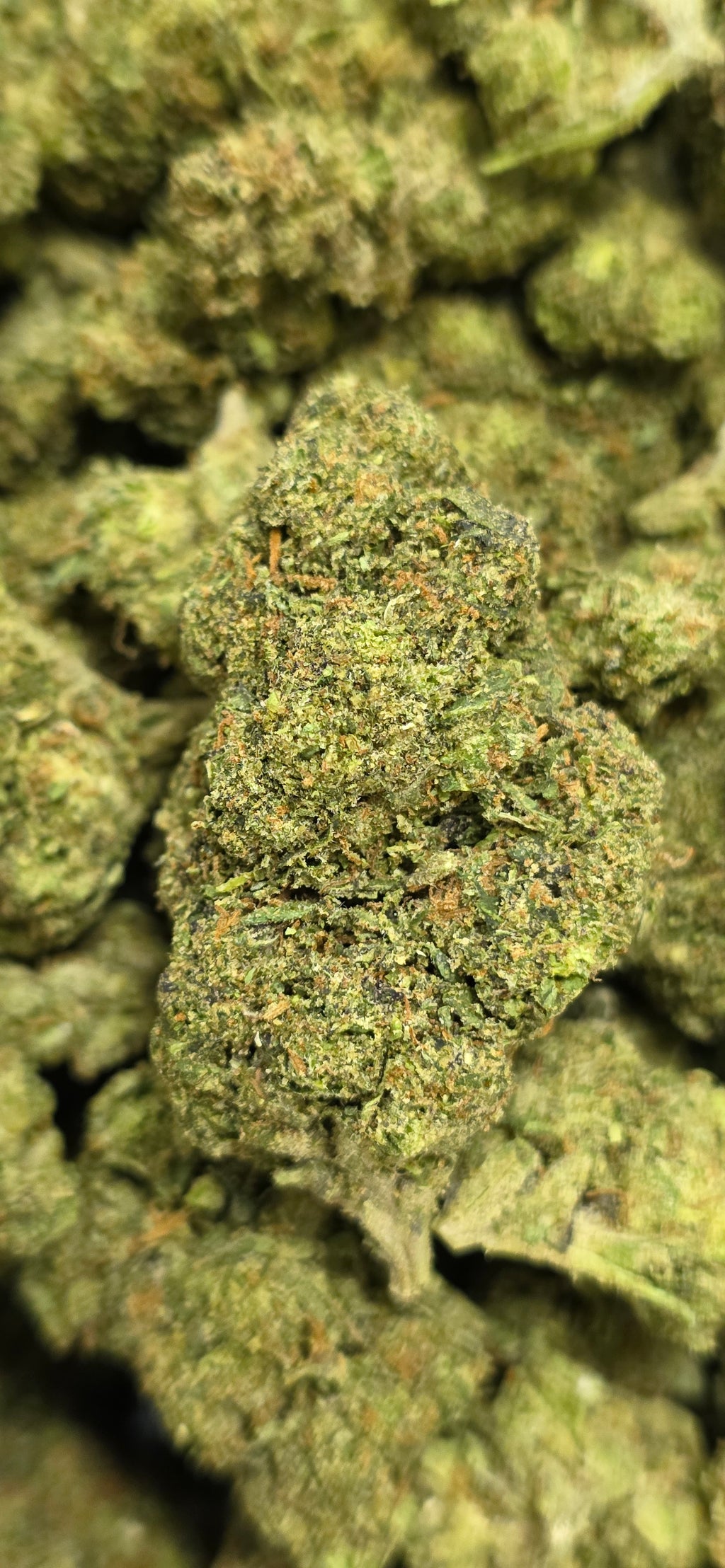 AAA+ Indoor THC-A Flower  ( Hybrid )