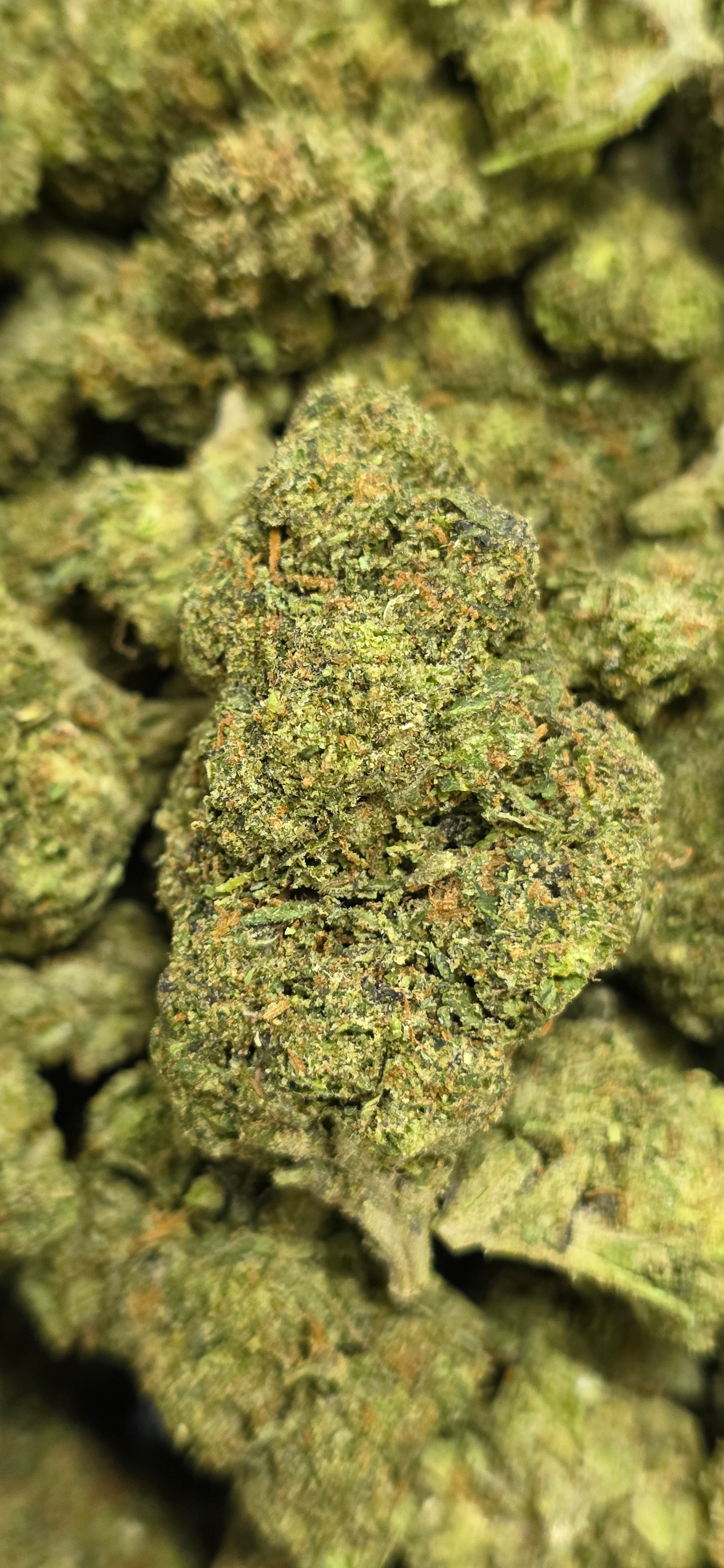 AAA+ Indoor THC-A Flower  ( Hybrid )