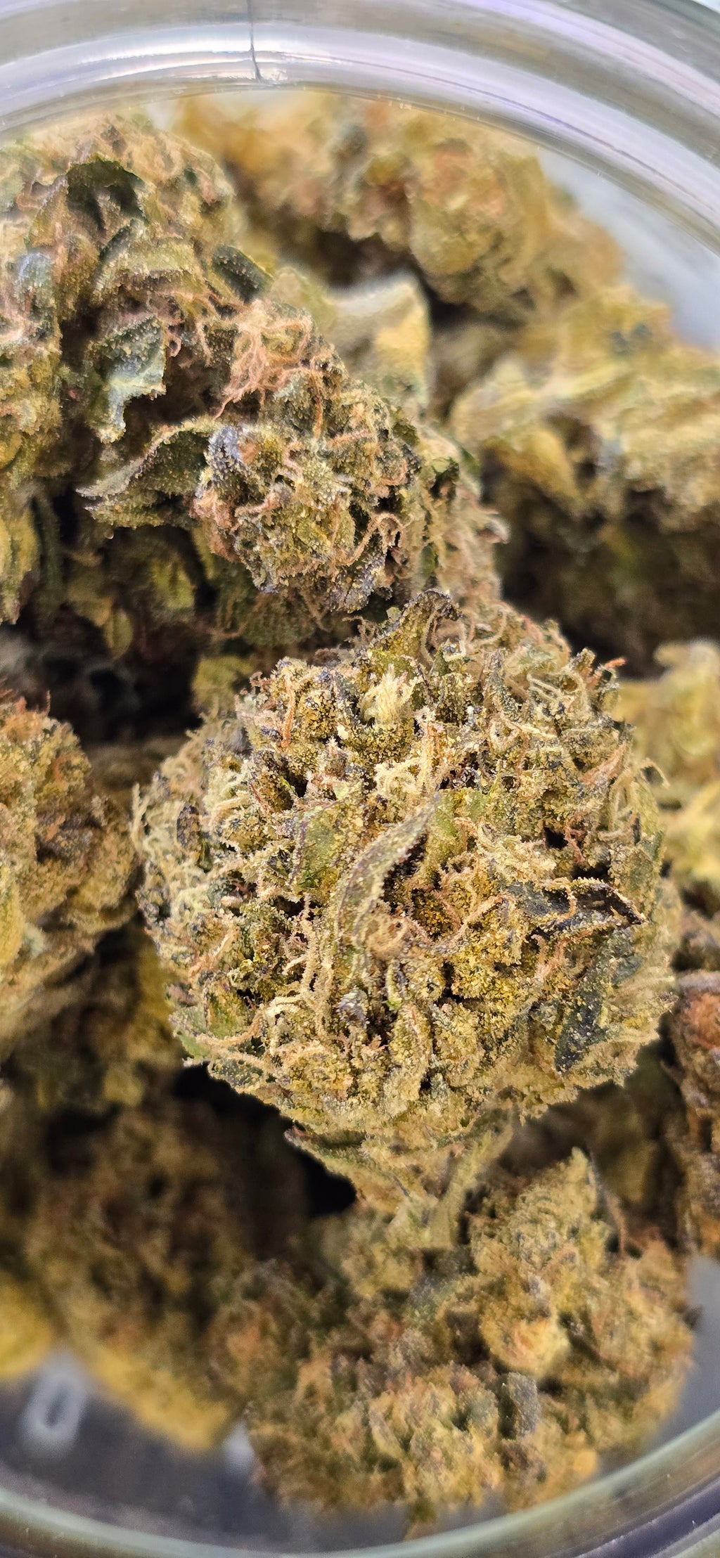 💲Budget Strains 💲