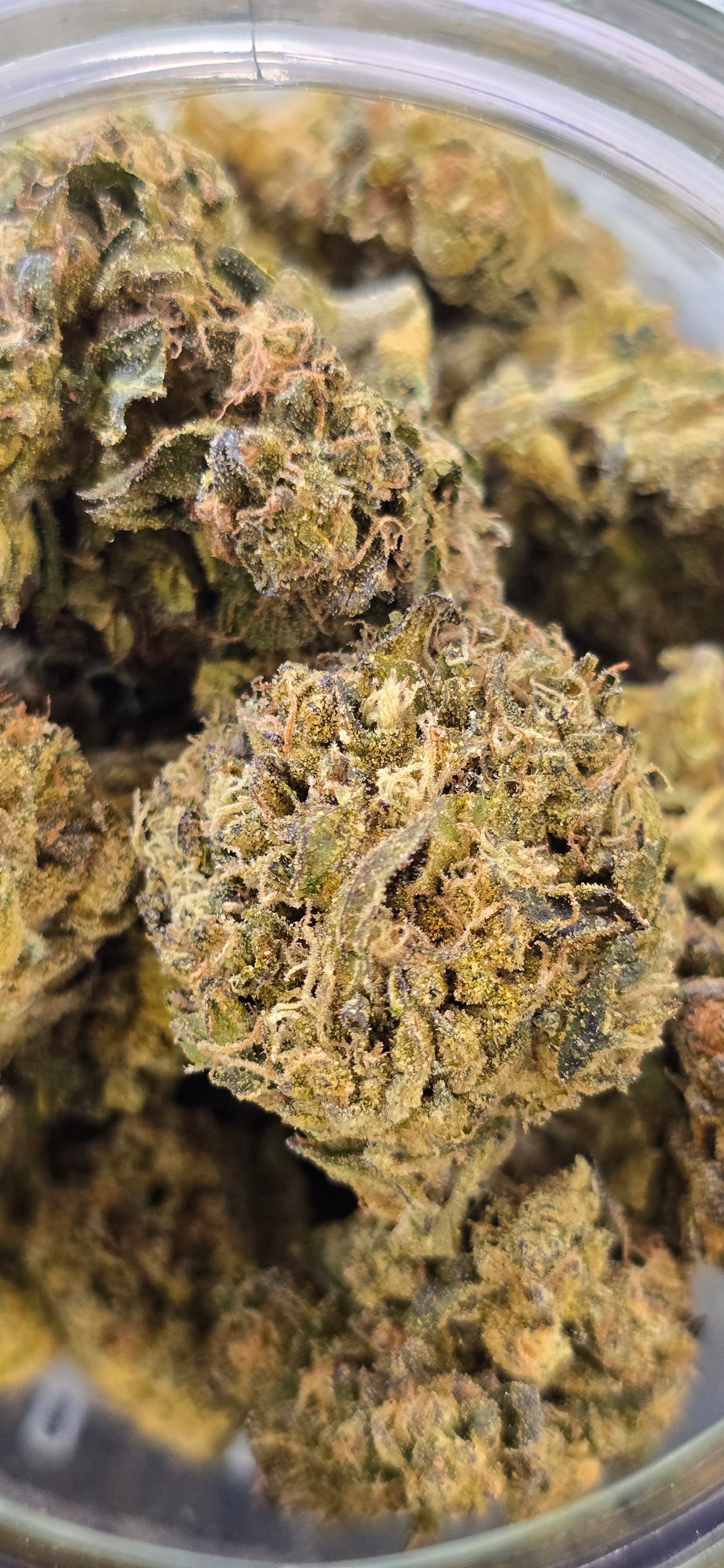 💲Budget Strains 💲