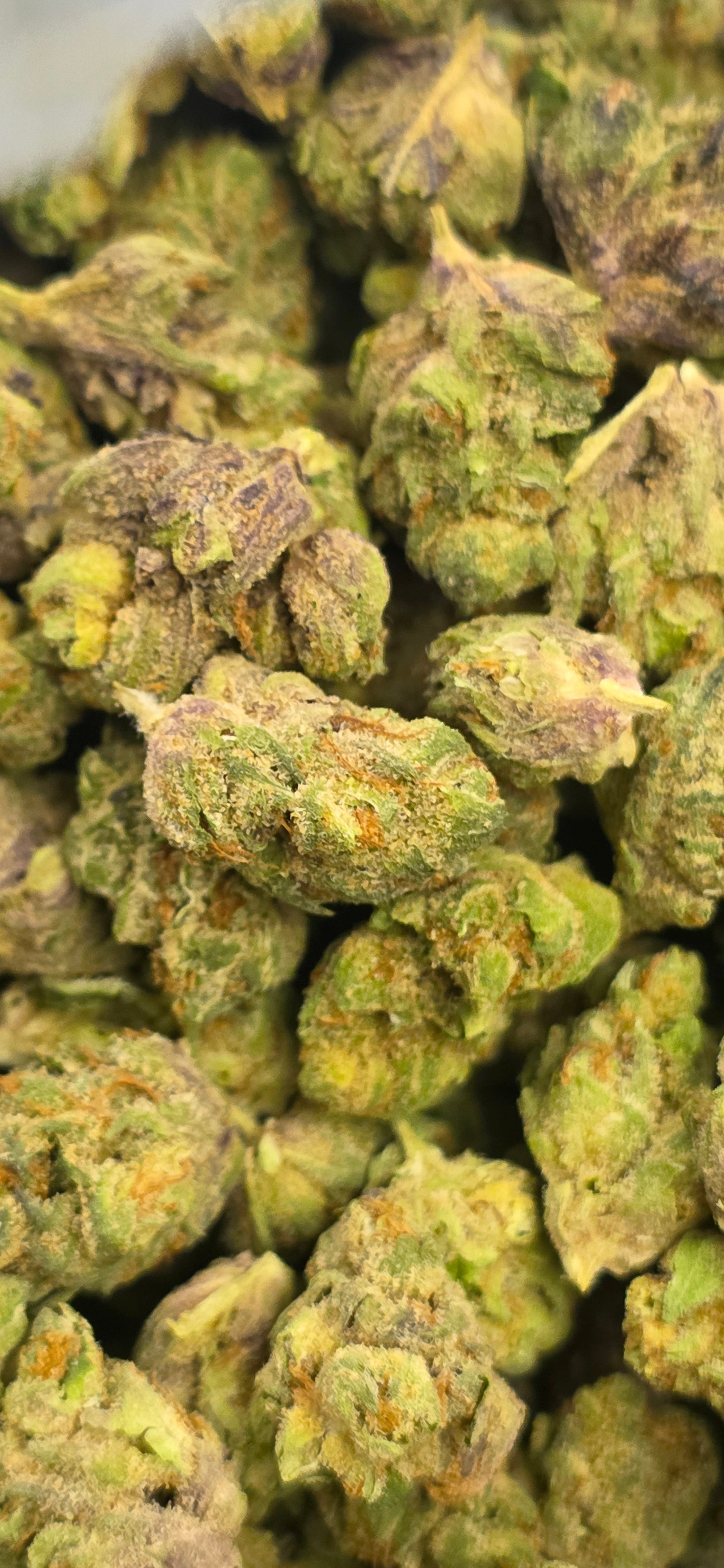 Popcorn Specials ⛽️