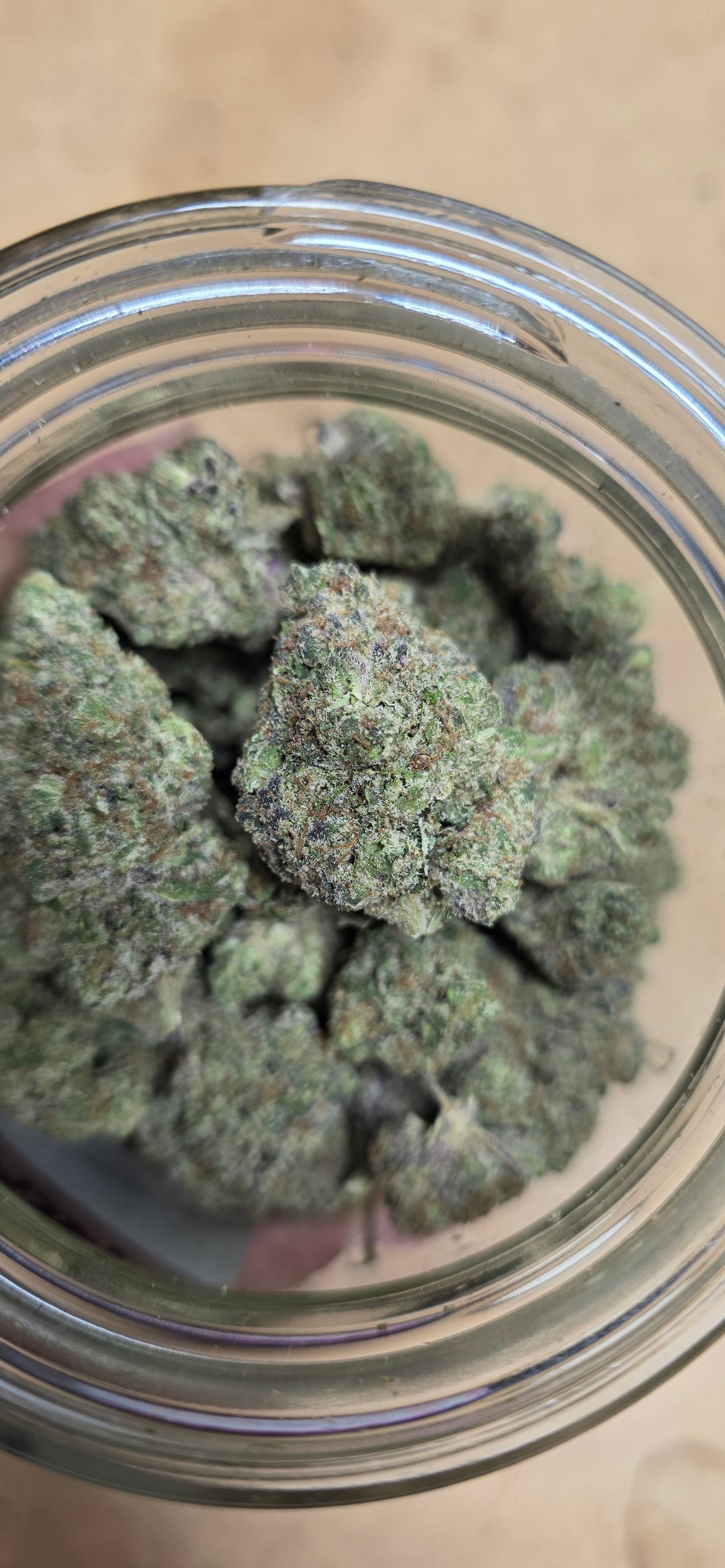 AAA+ Indoor THC-A Flower  ( Hybrid )
