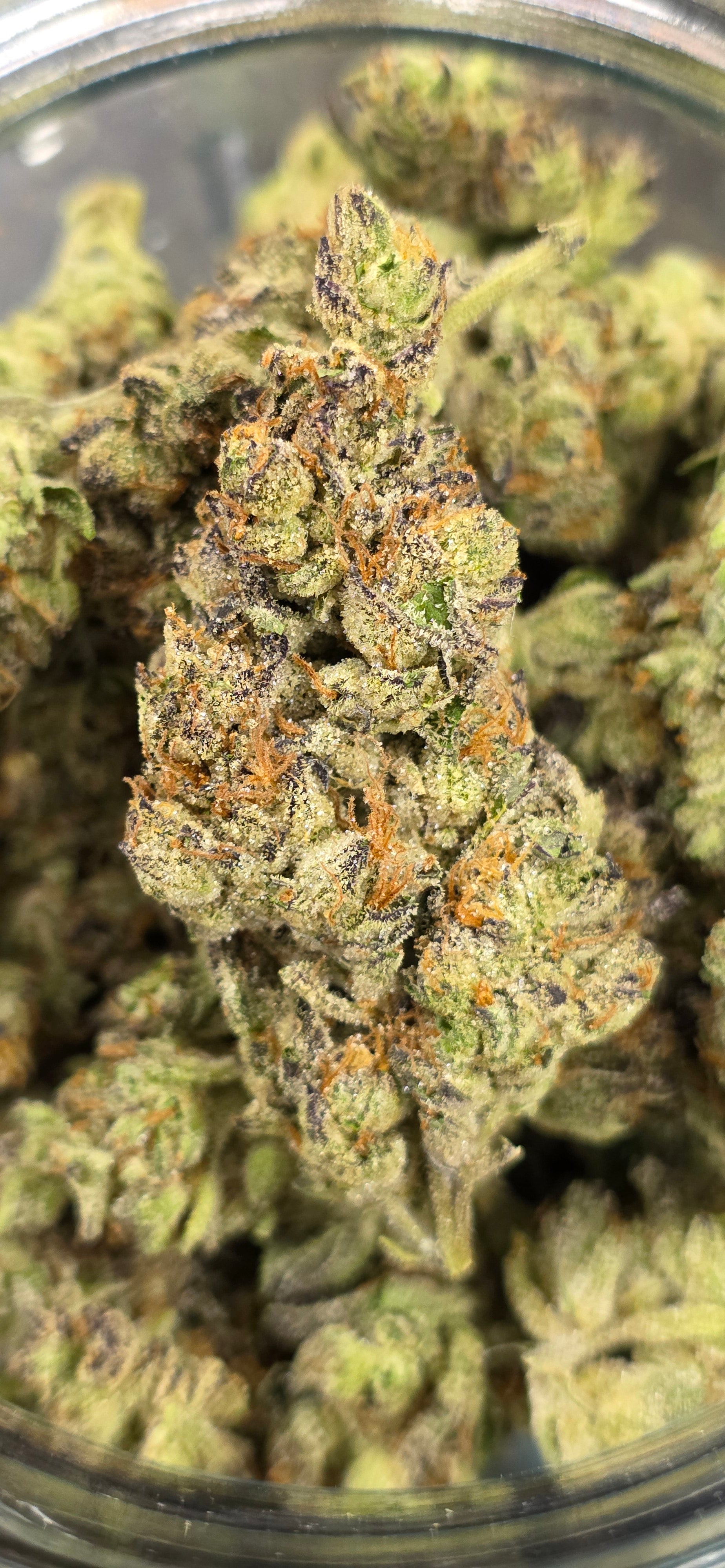 💲Budget Strains 💲