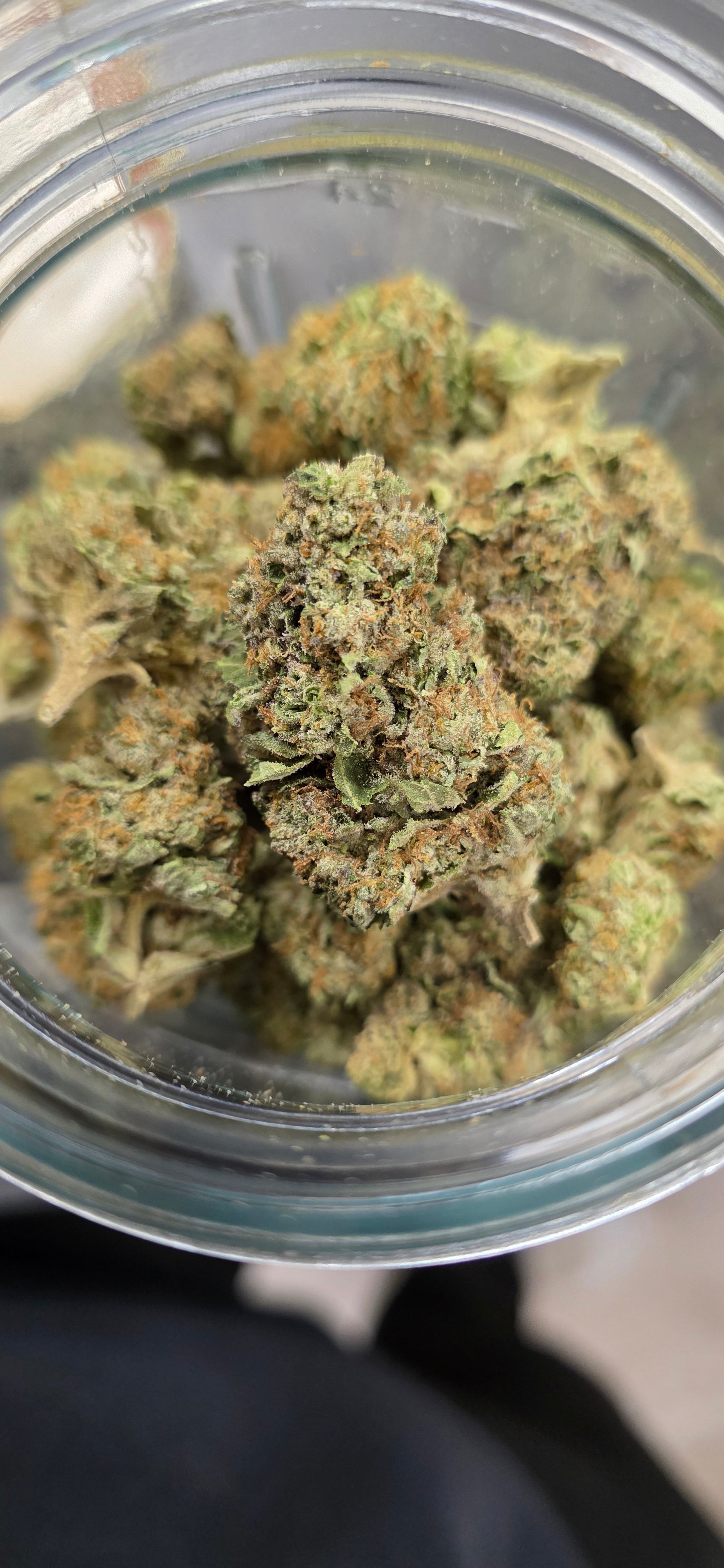 💲Budget Strains 💲